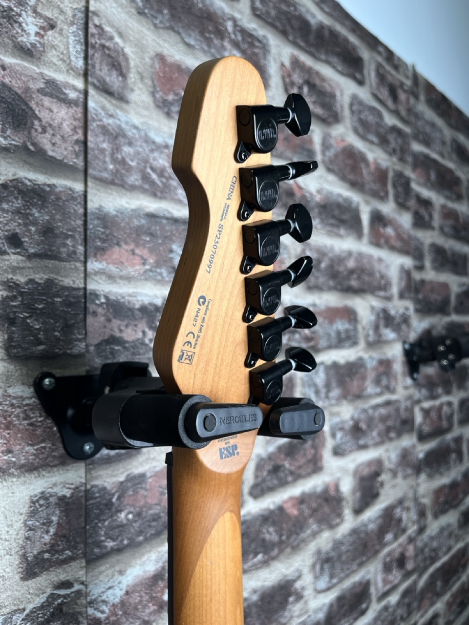 LTD TE‑200DX Purple Burst