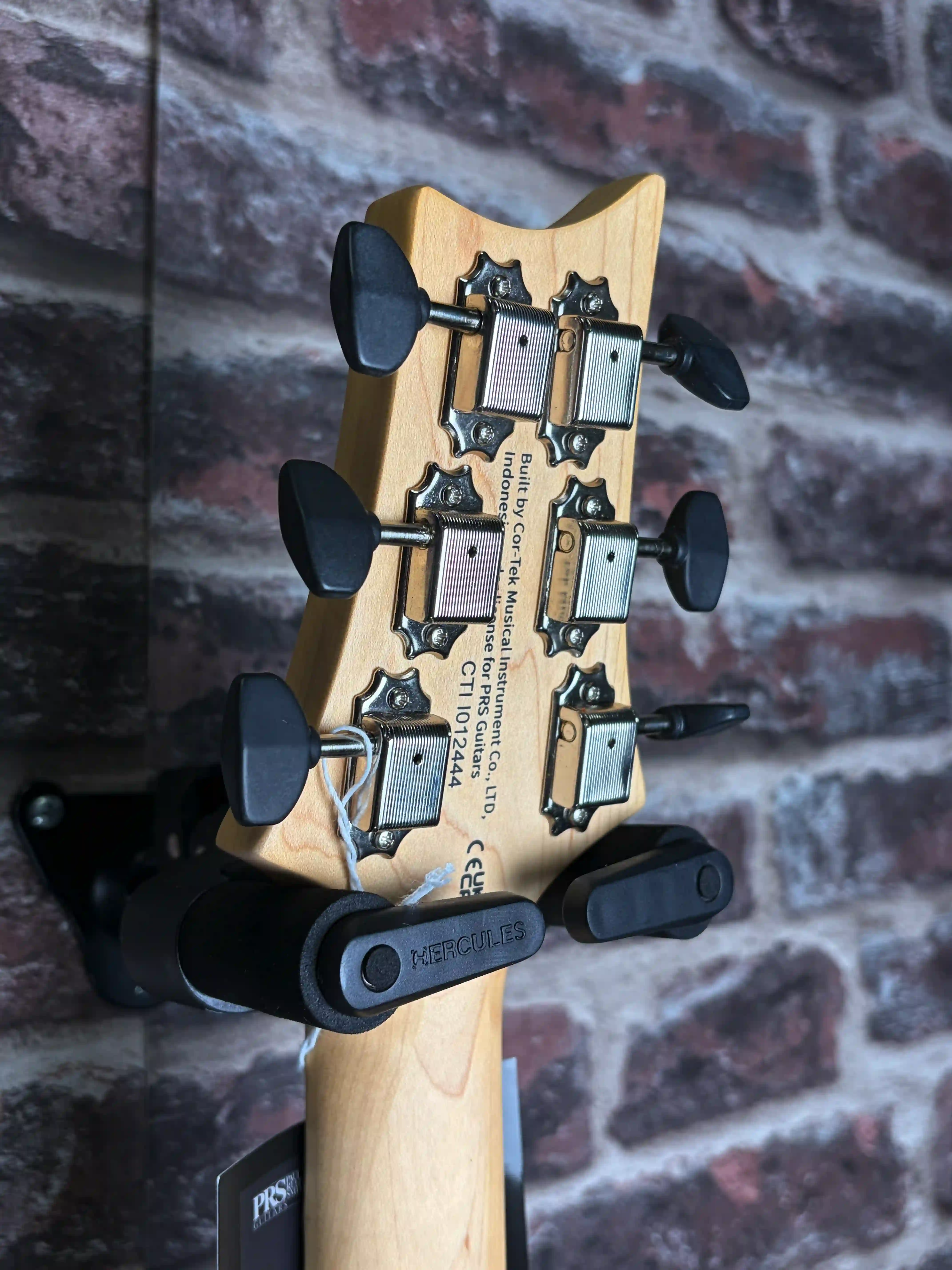 PRS SE NF 53 White Doghair