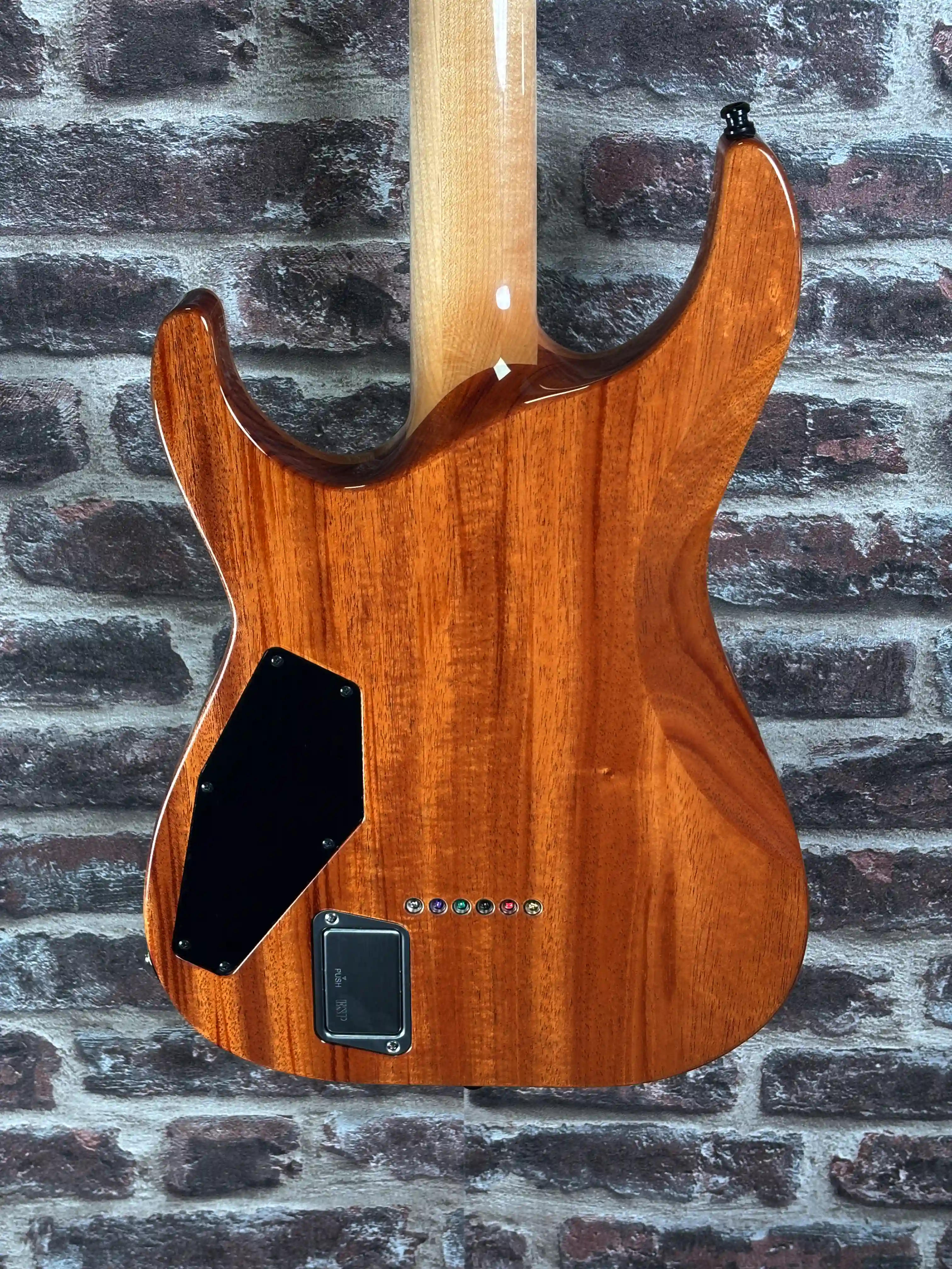 ESP USA Custom Shop Horizon II NT OCCASION