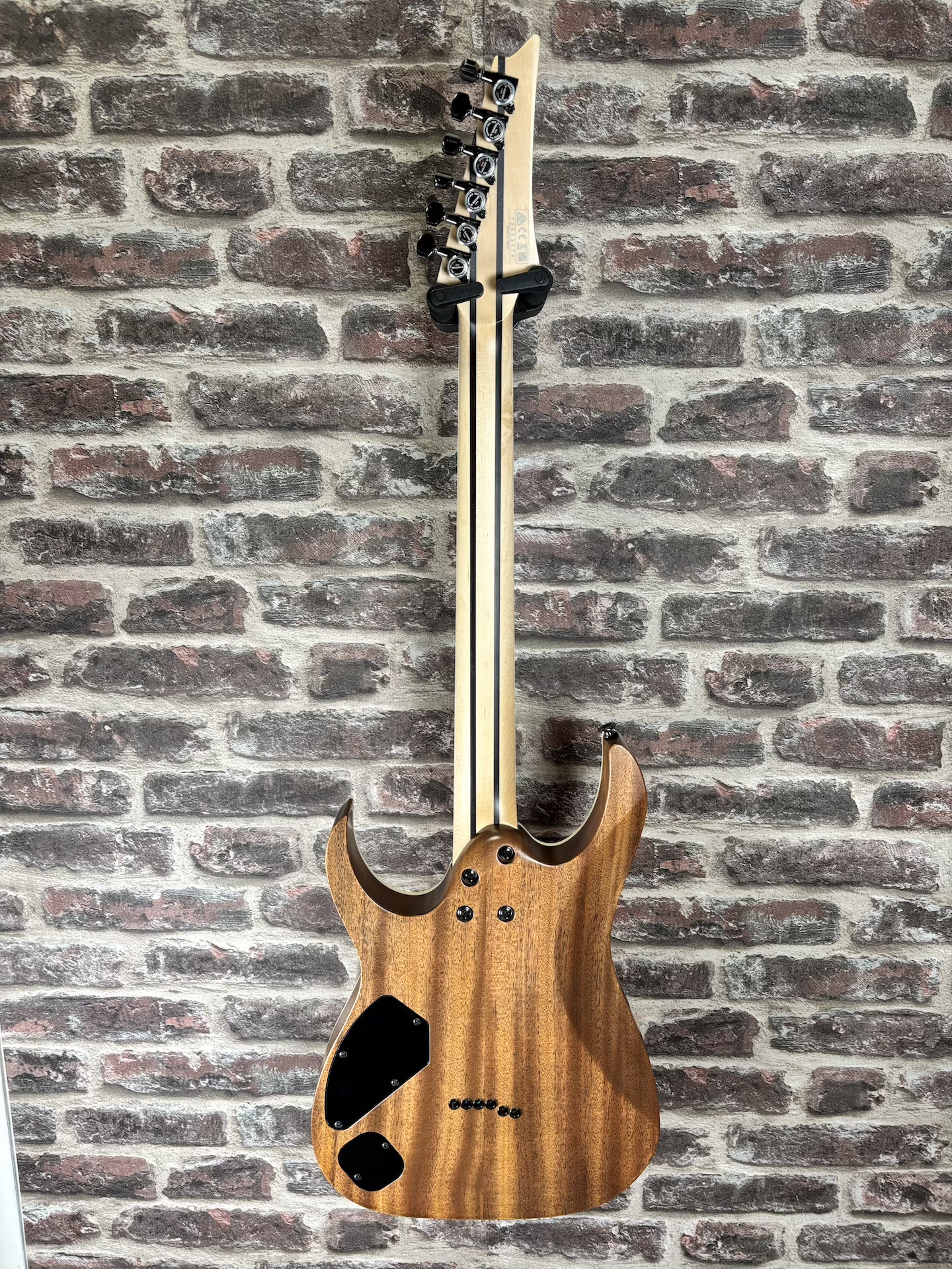 Ibanez RGR5221 Prestige TFR OCCASION