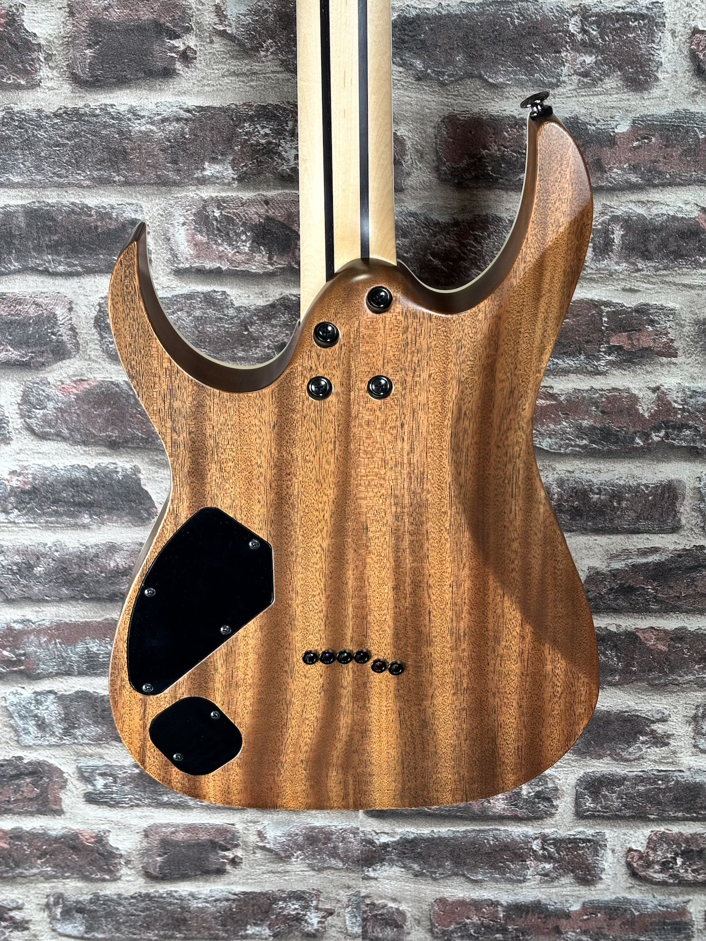 Ibanez RGR5221 Prestige TFR OCCASION