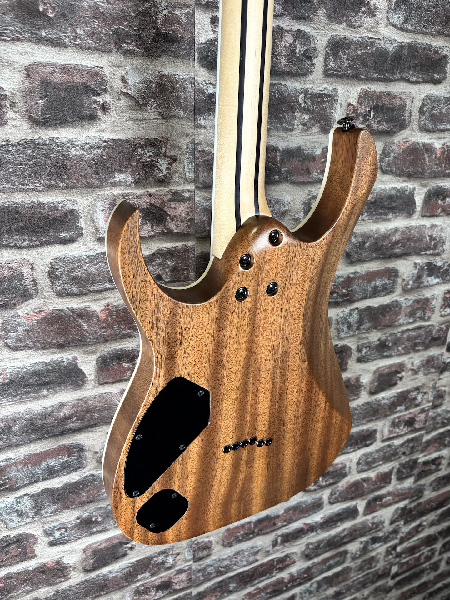 Ibanez RGR5221 Prestige TFR OCCASION