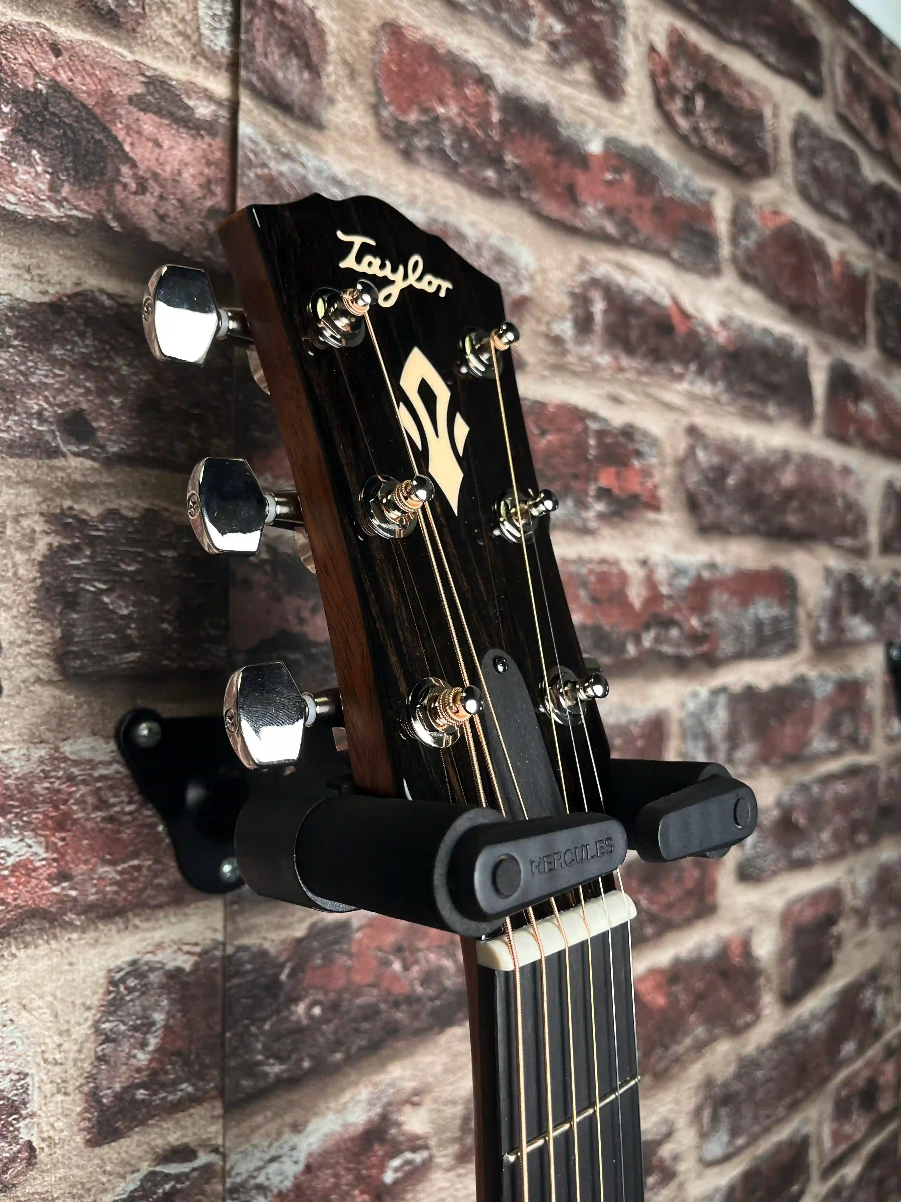 Taylor Gold Label 514e Blacktop