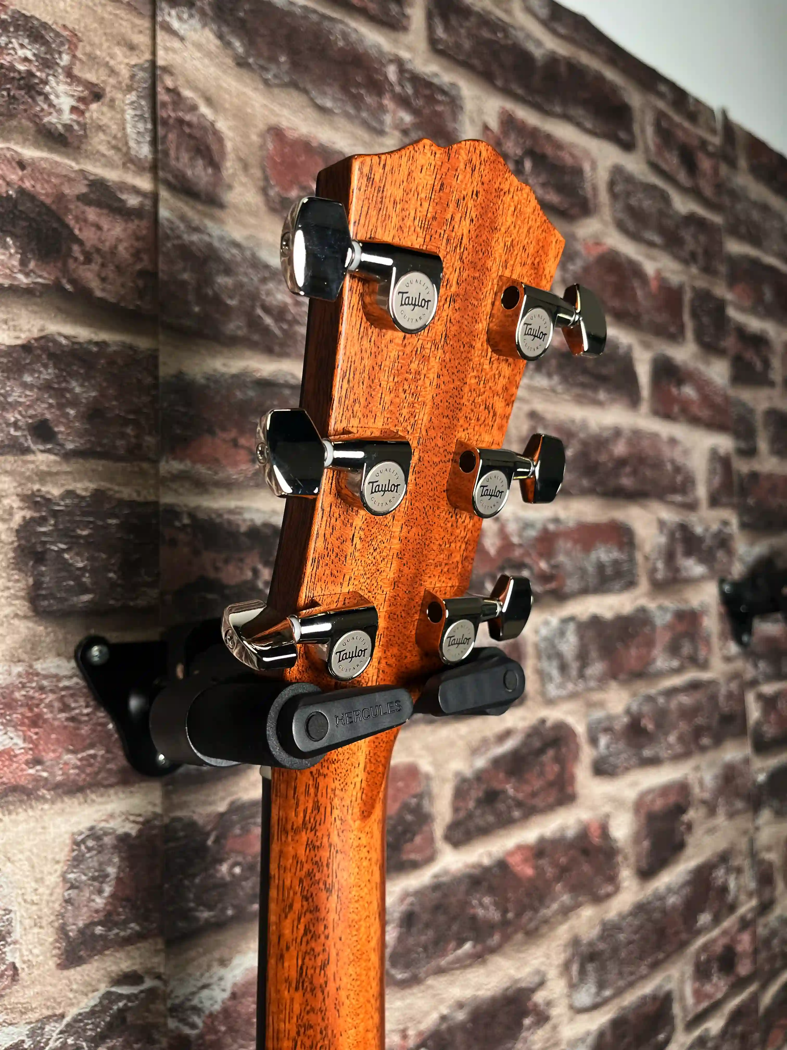 Taylor Gold Label 514e Blacktop