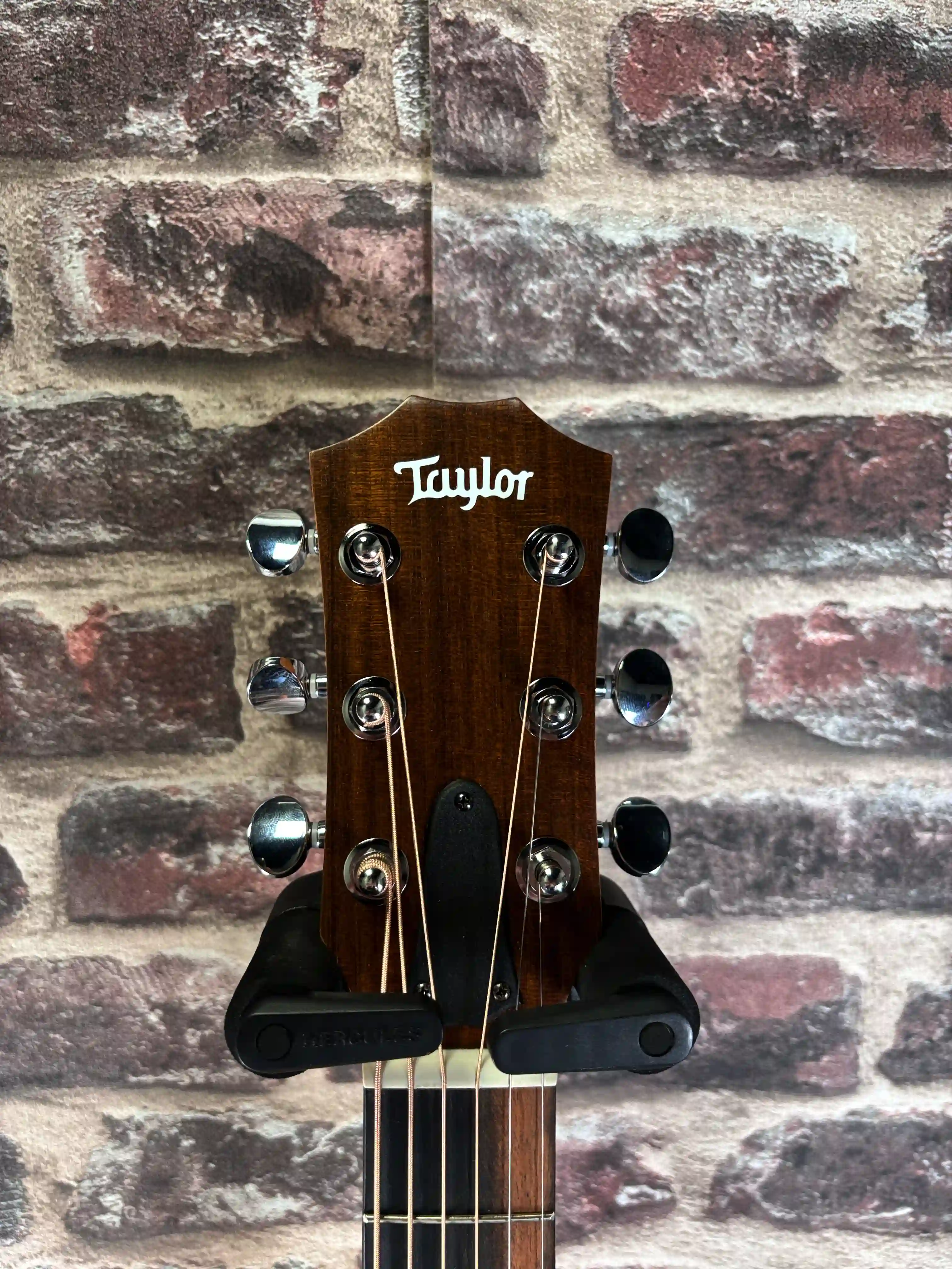 Taylor GS Mini Édition Spéciale Zedd Telos 