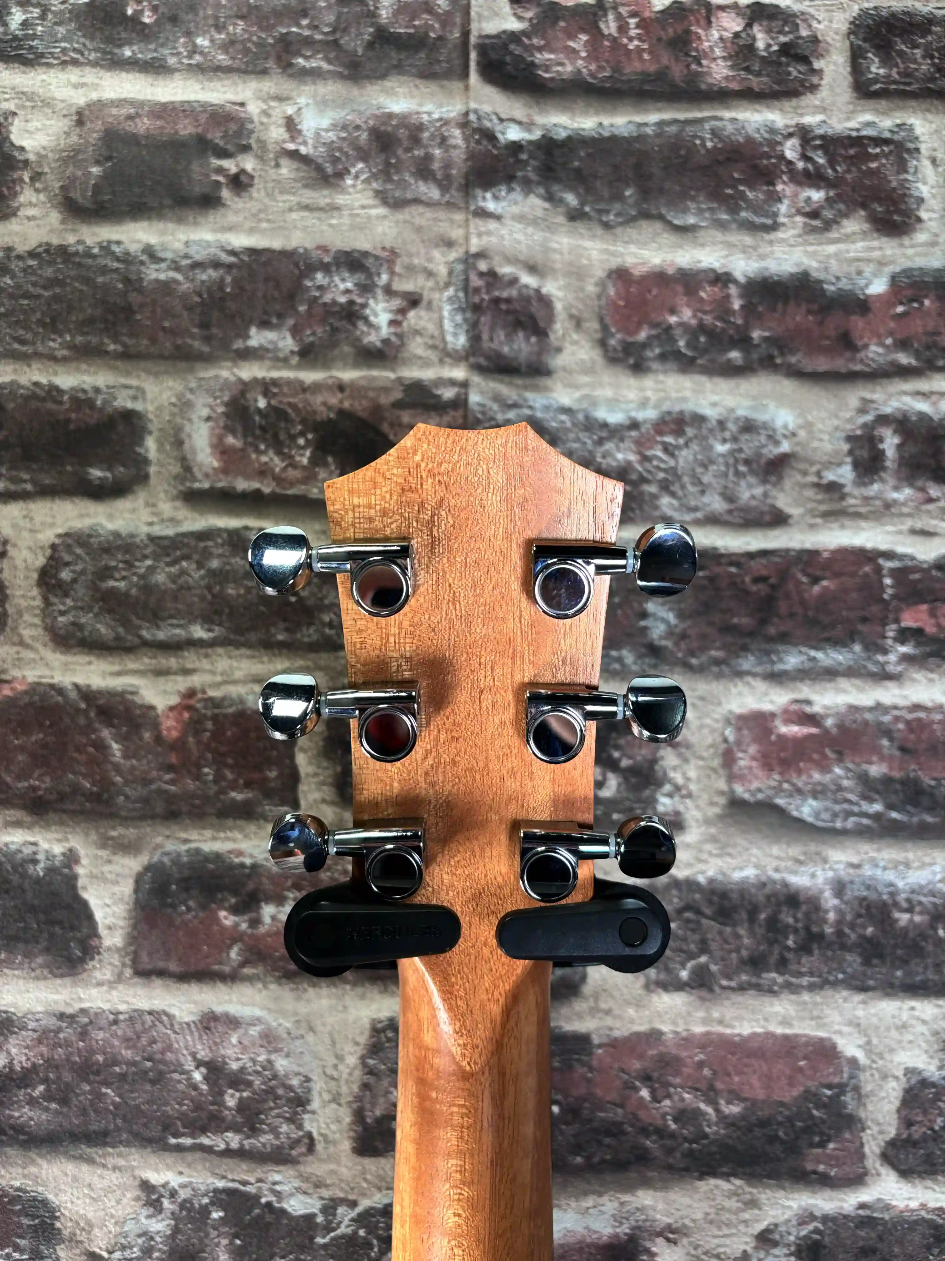 Taylor GS Mini Édition Spéciale Zedd Telos 