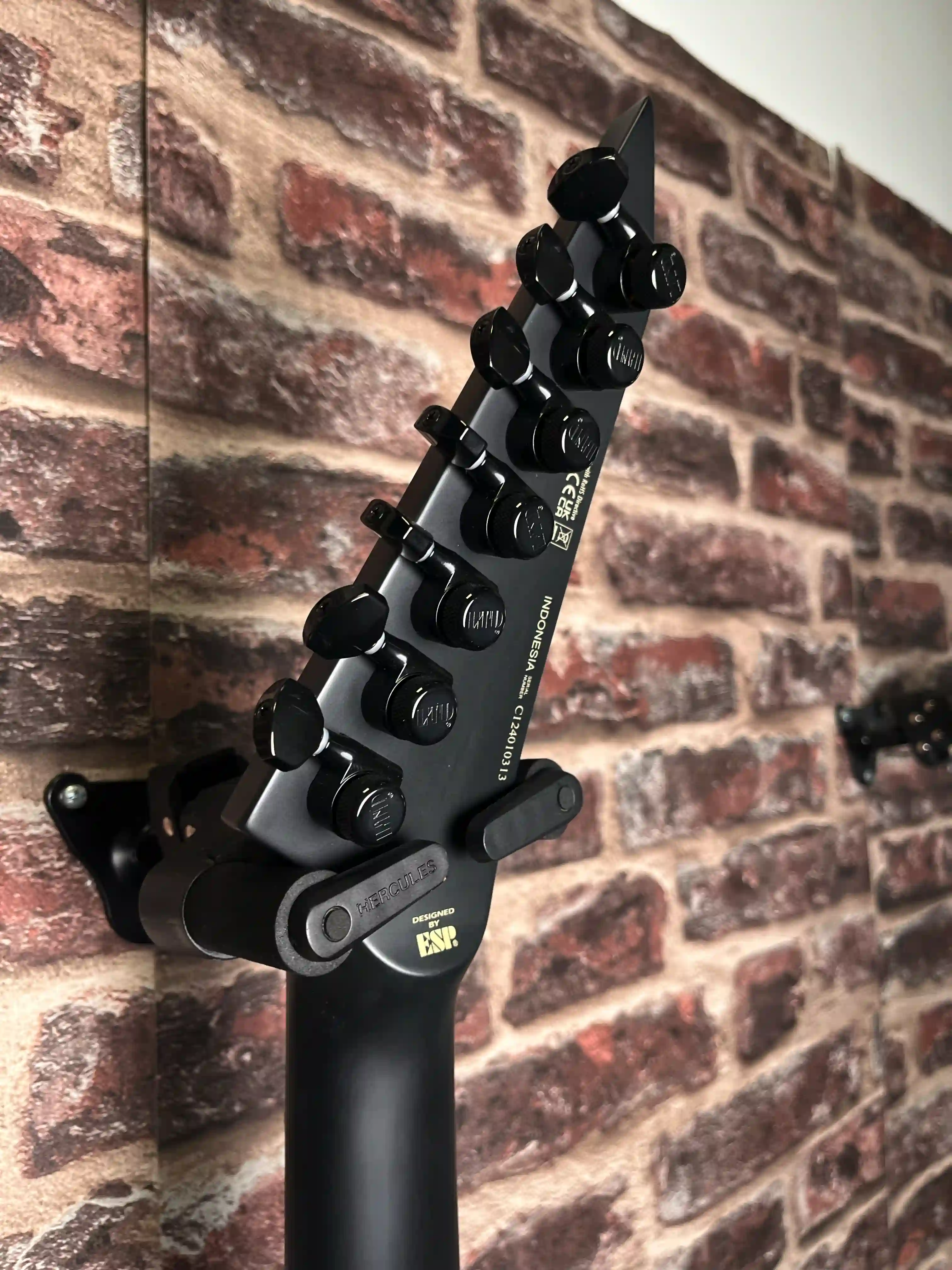 LTD EX Black Metal OCCASION