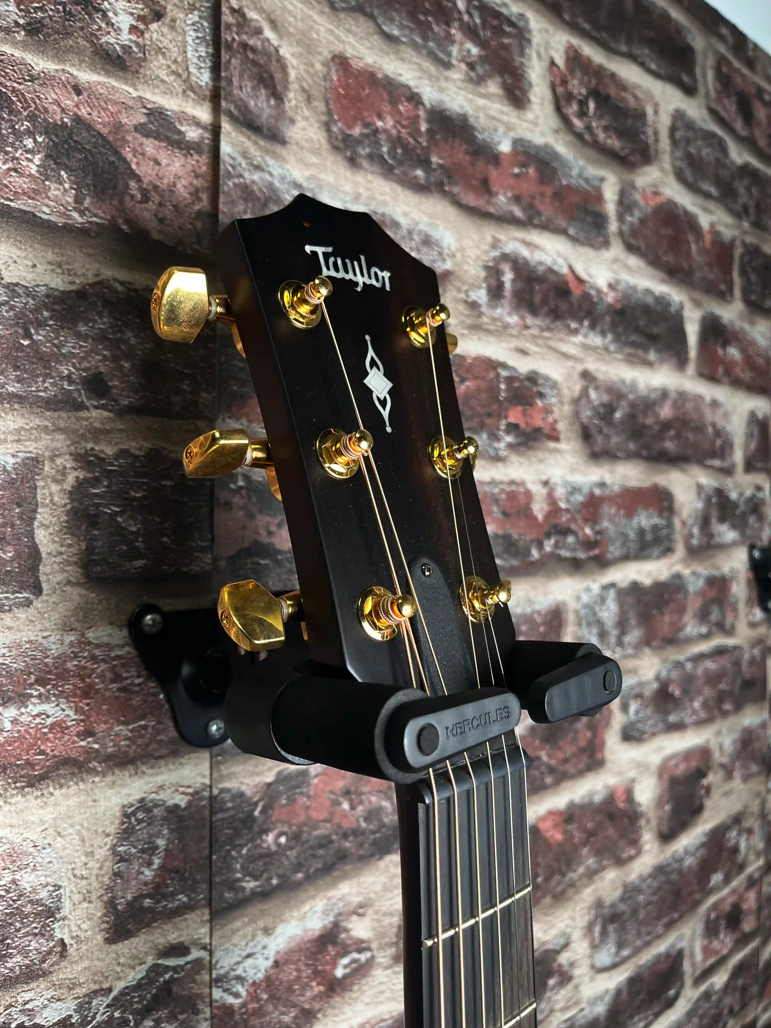 Taylor 314ce LTD 50th Anniversary