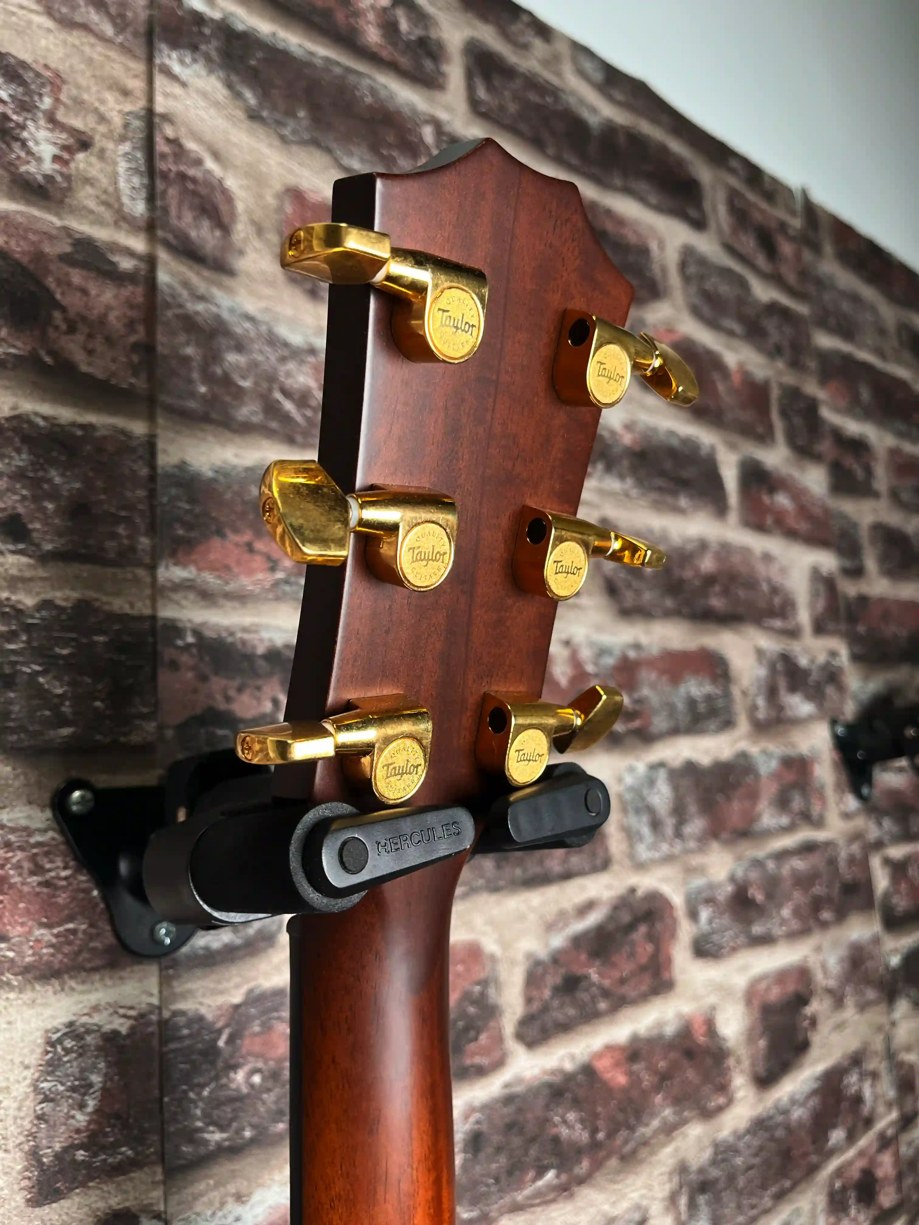 Taylor 314ce LTD 50th Anniversary