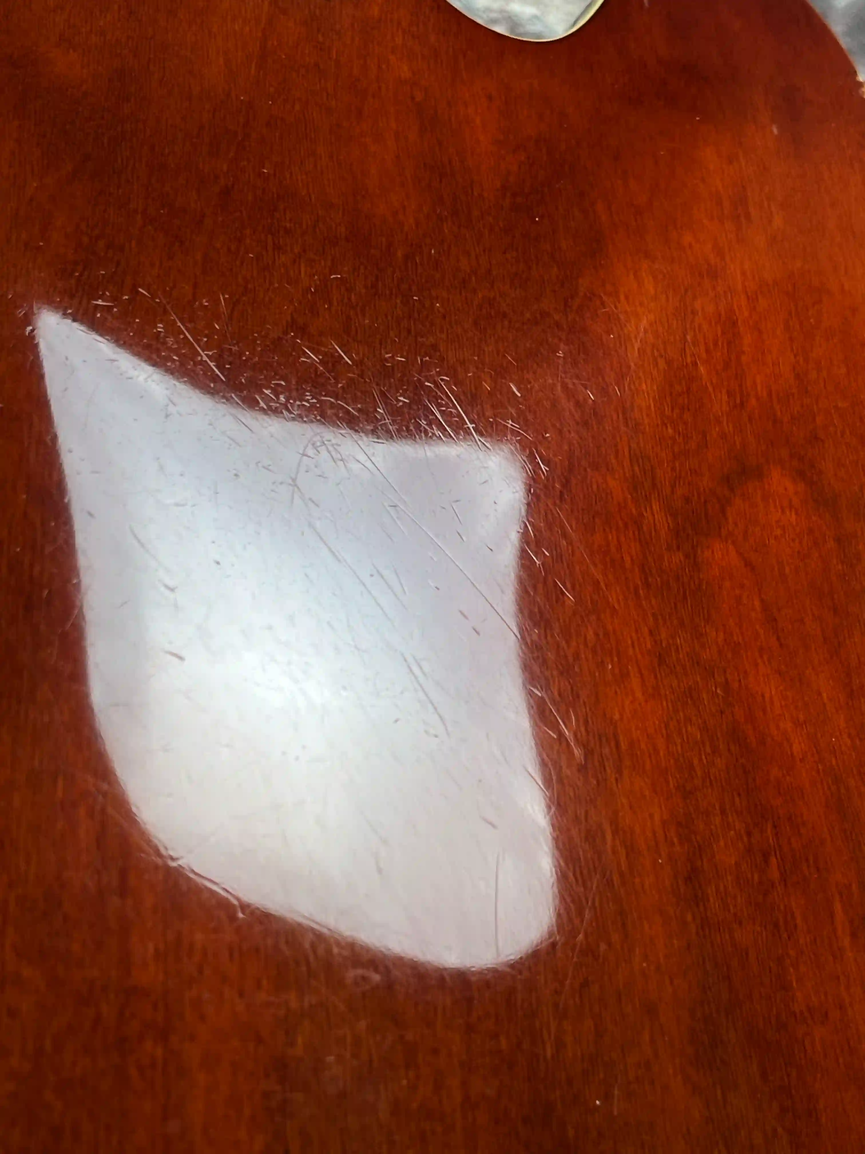 Epiphone Sheraton VSB 1989 OCCASION