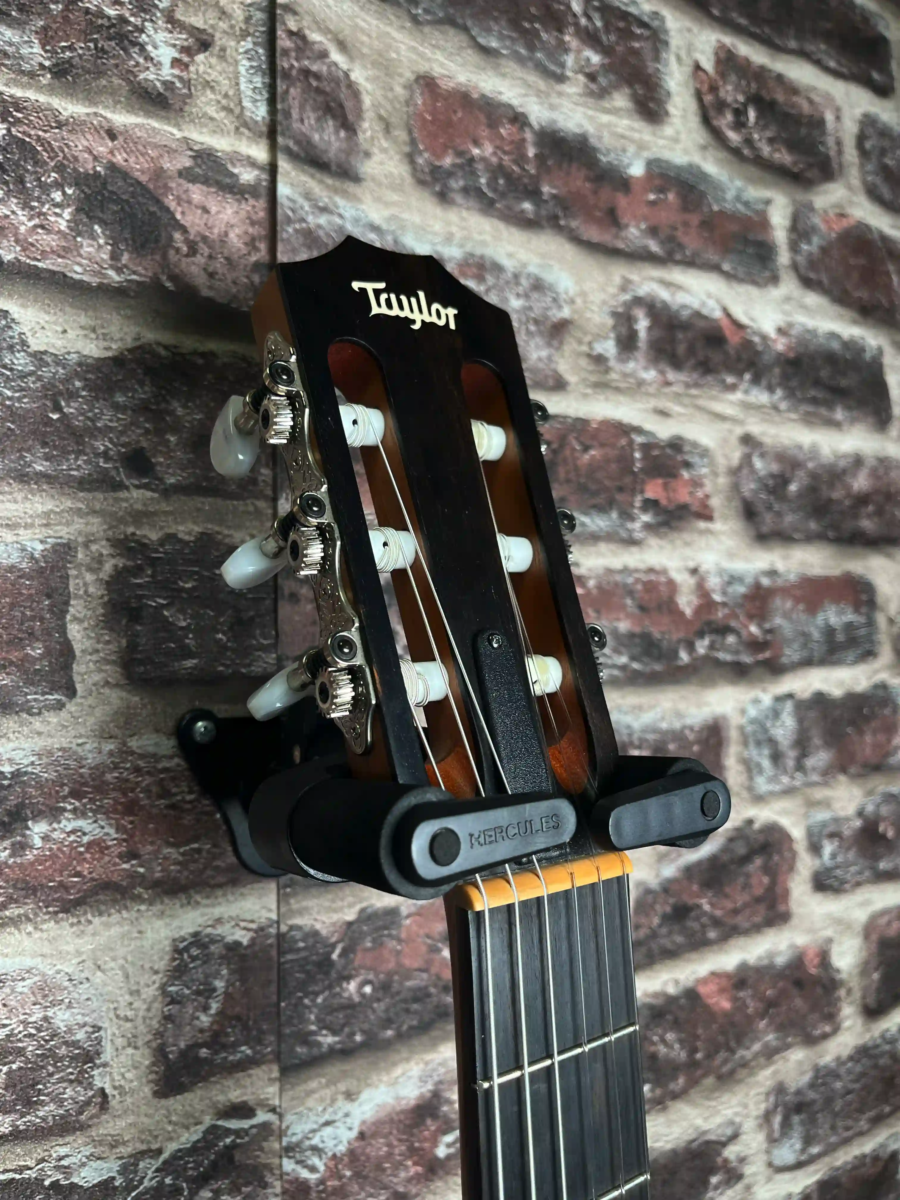 Taylor 214ce‑N OCCASION