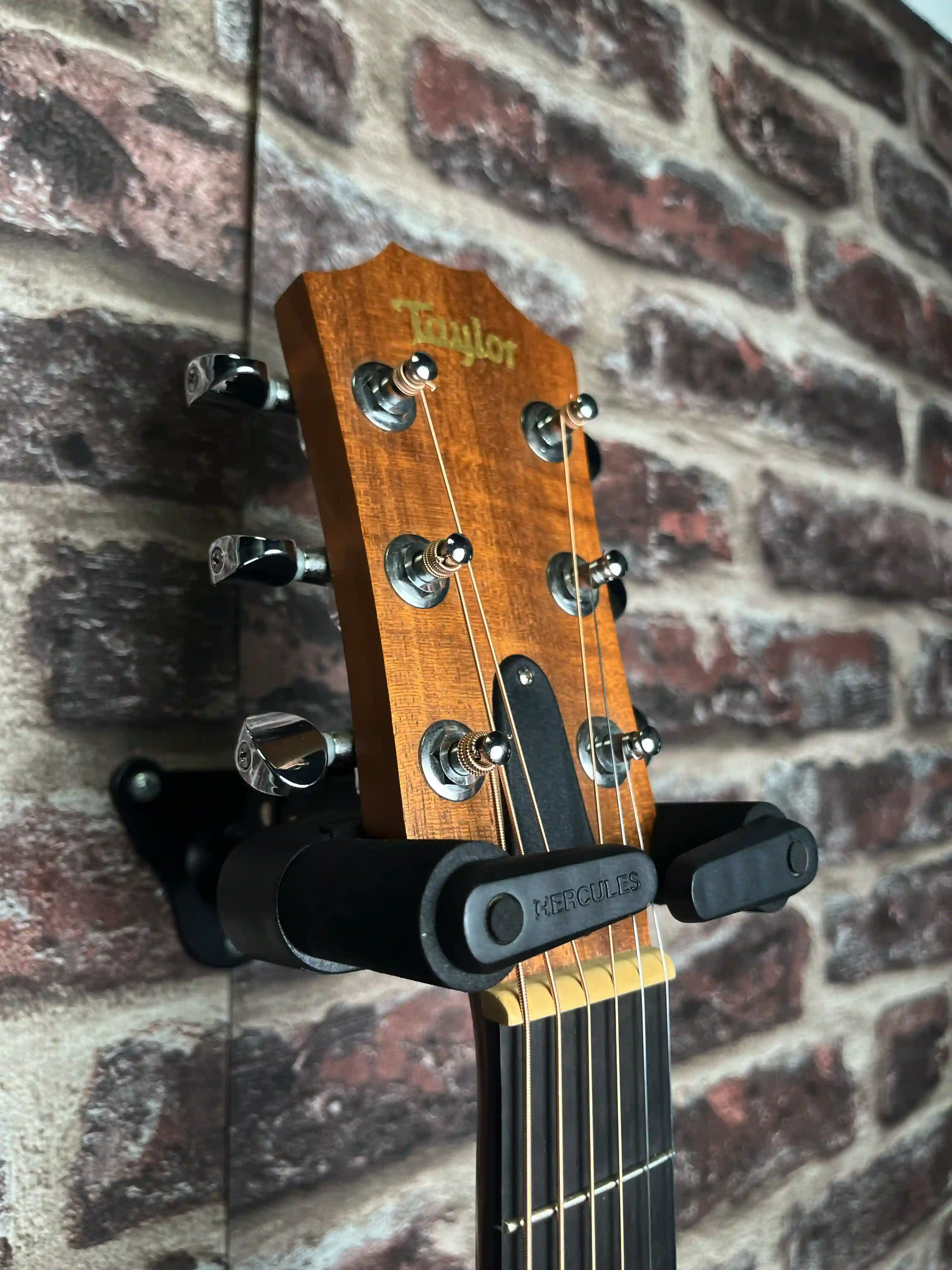 Taylor GS Mini Mahogany OCCASION