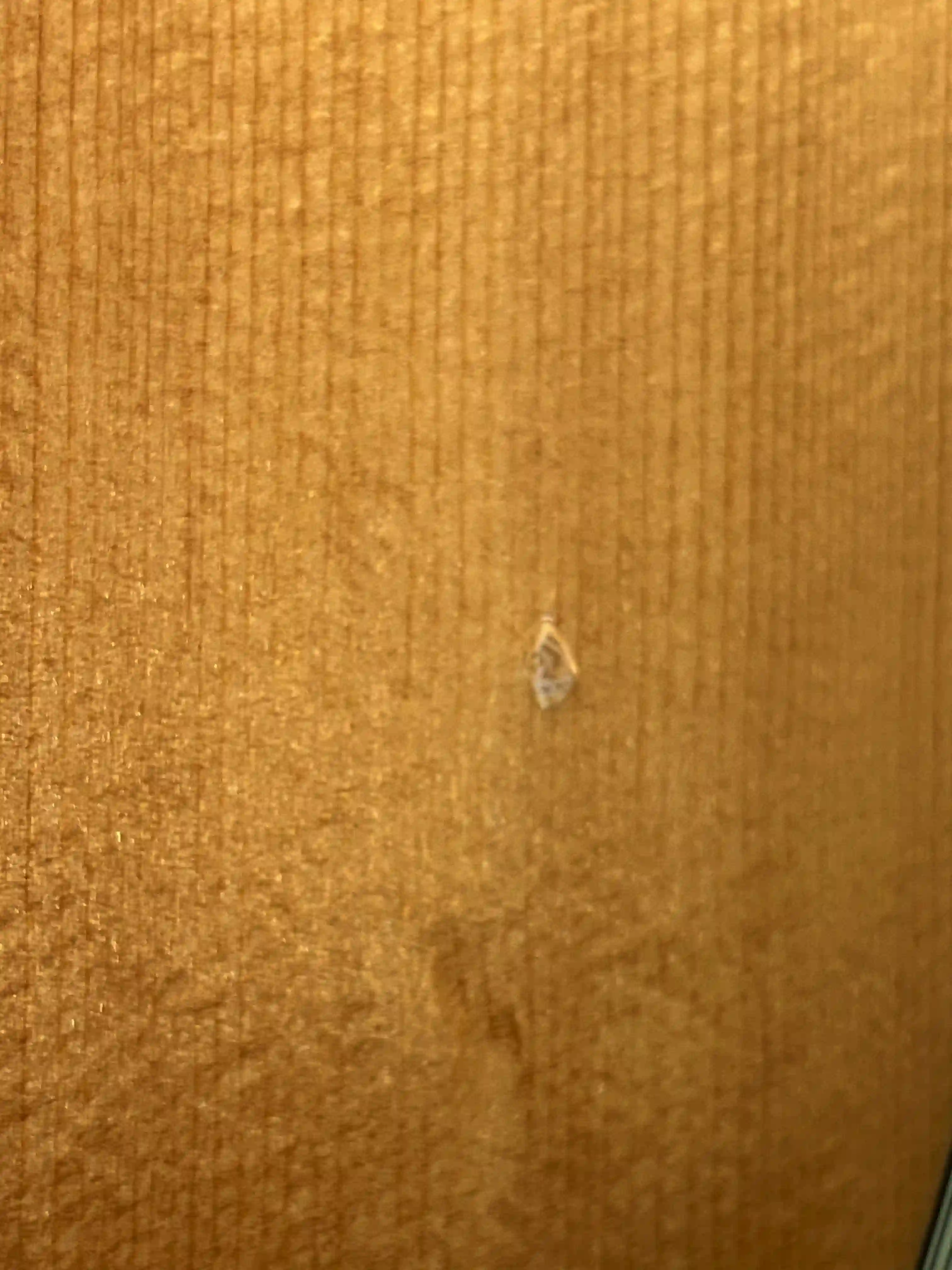 Yamaha AC1M OCCASION