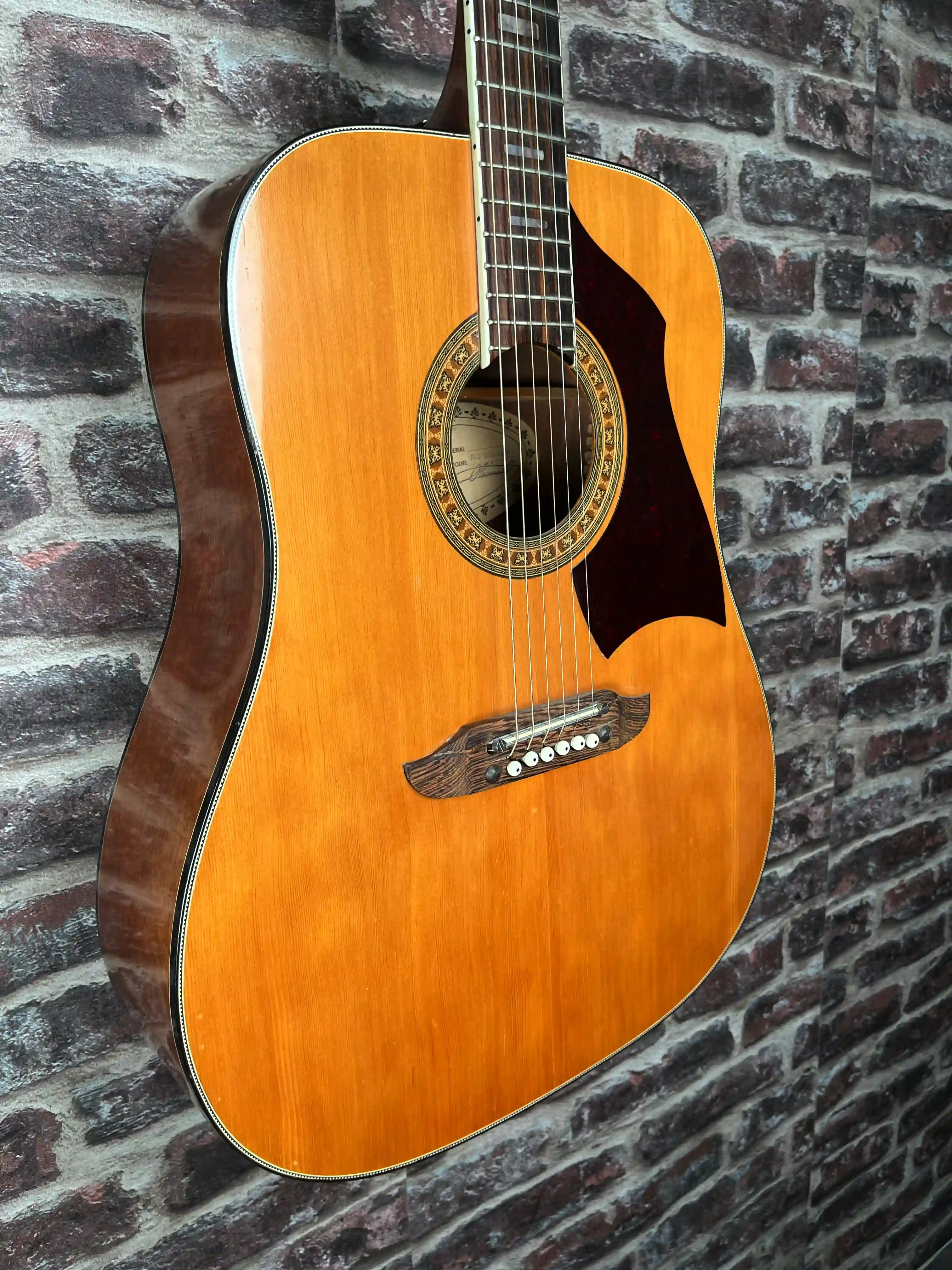 EKO Rio Bravo 6 OCCASION