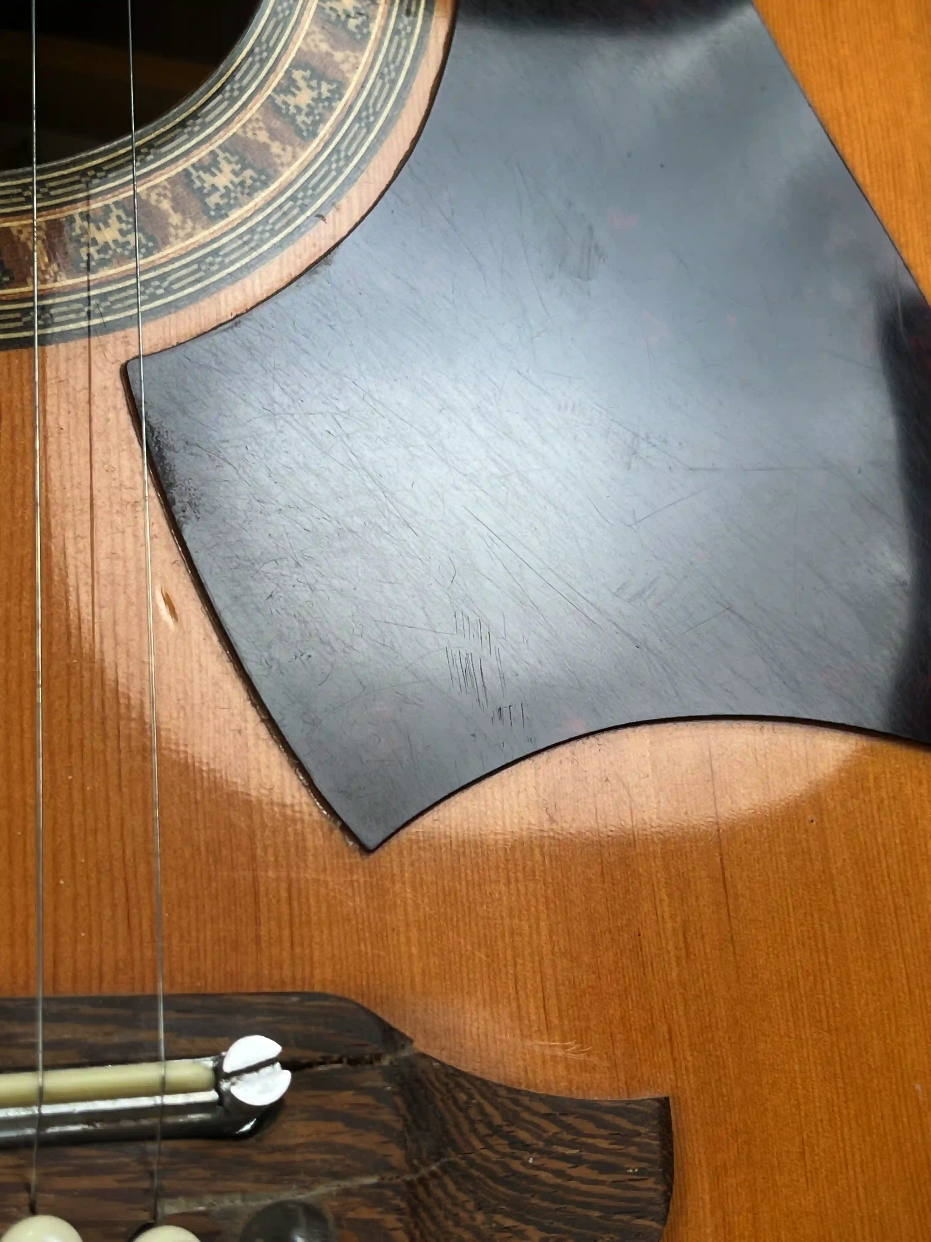 EKO Rio Bravo 6 OCCASION