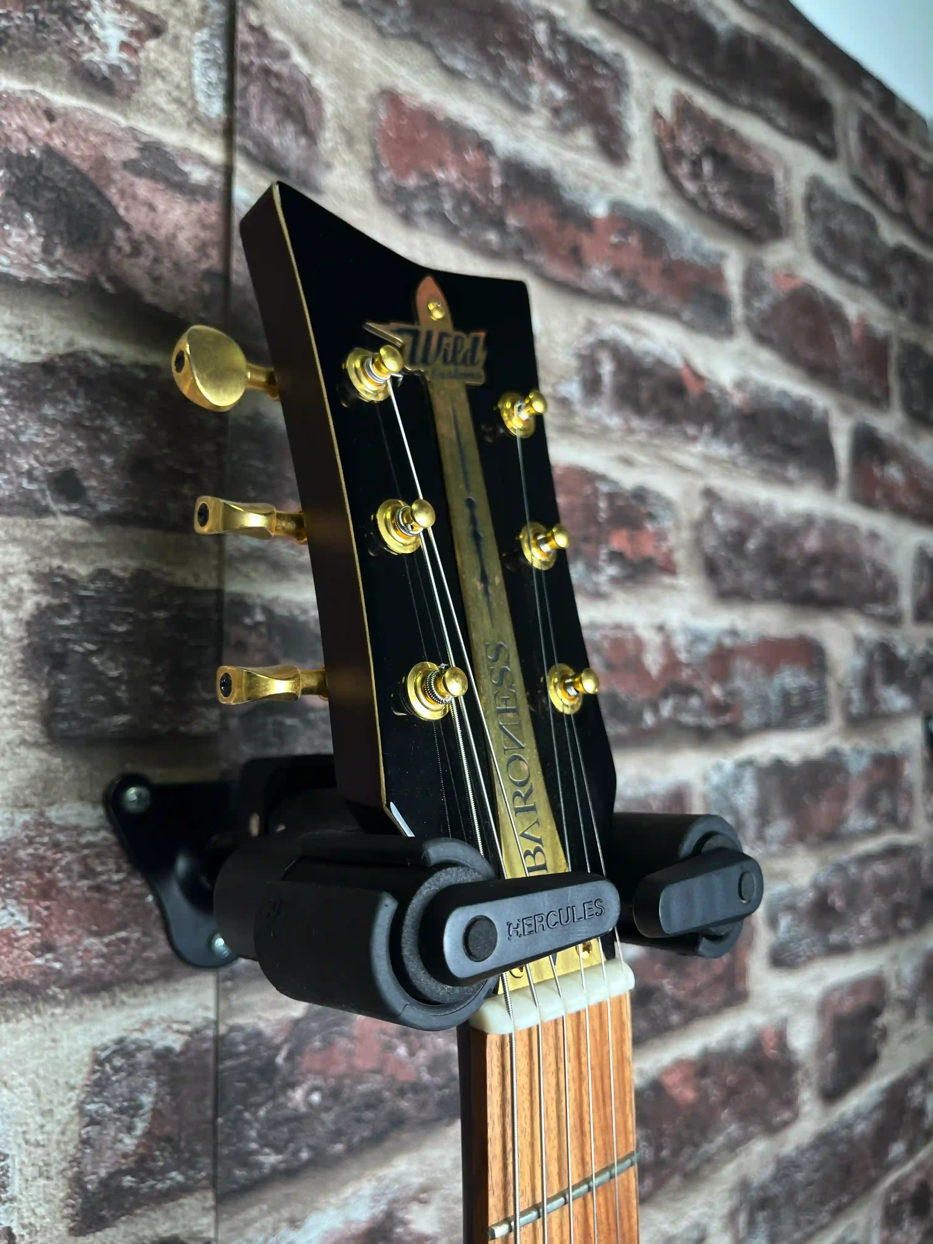 Wild Baroness BK OCCASION