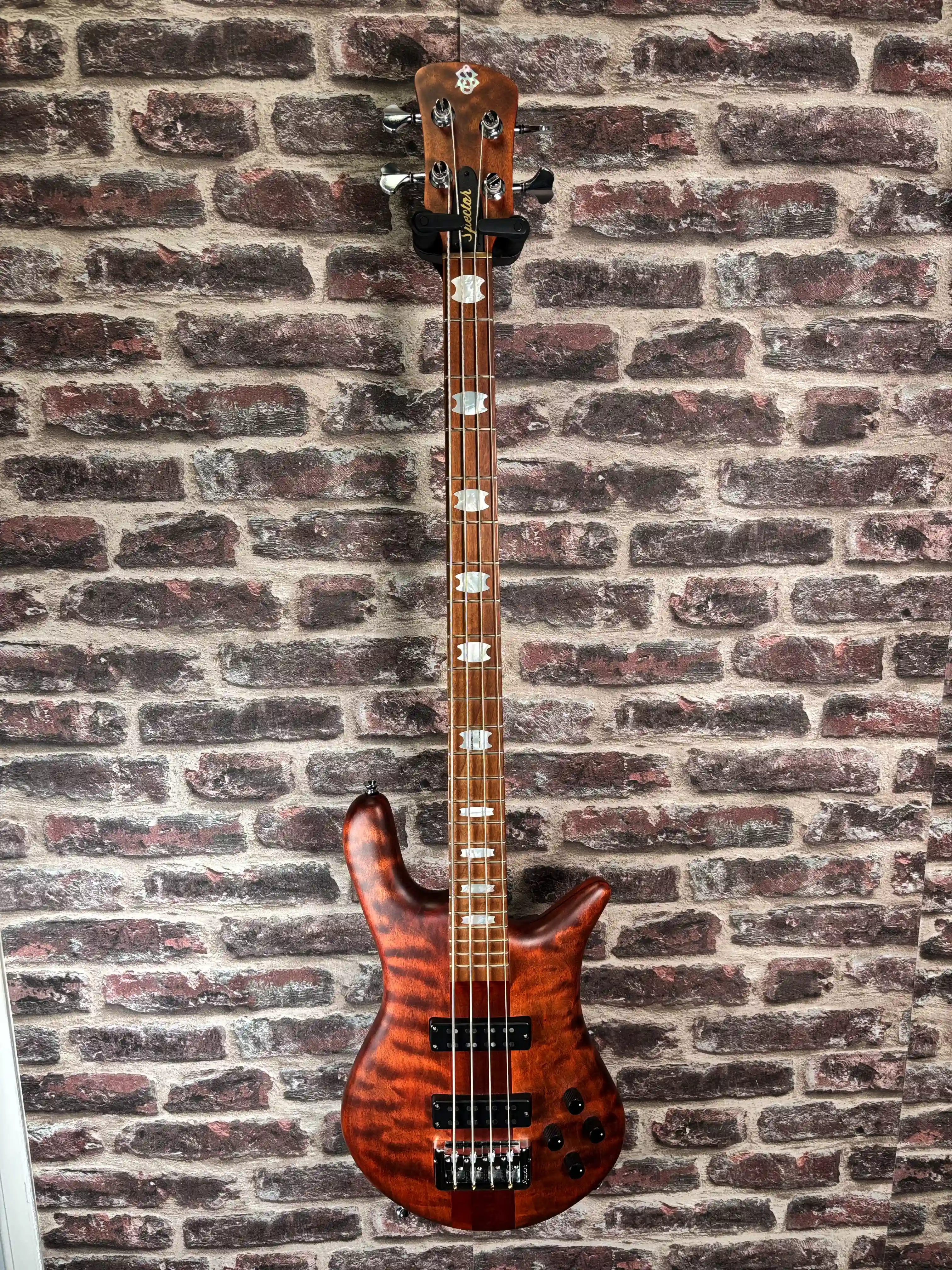 Spector Euro 4 RST Sienna Stain OCCASION