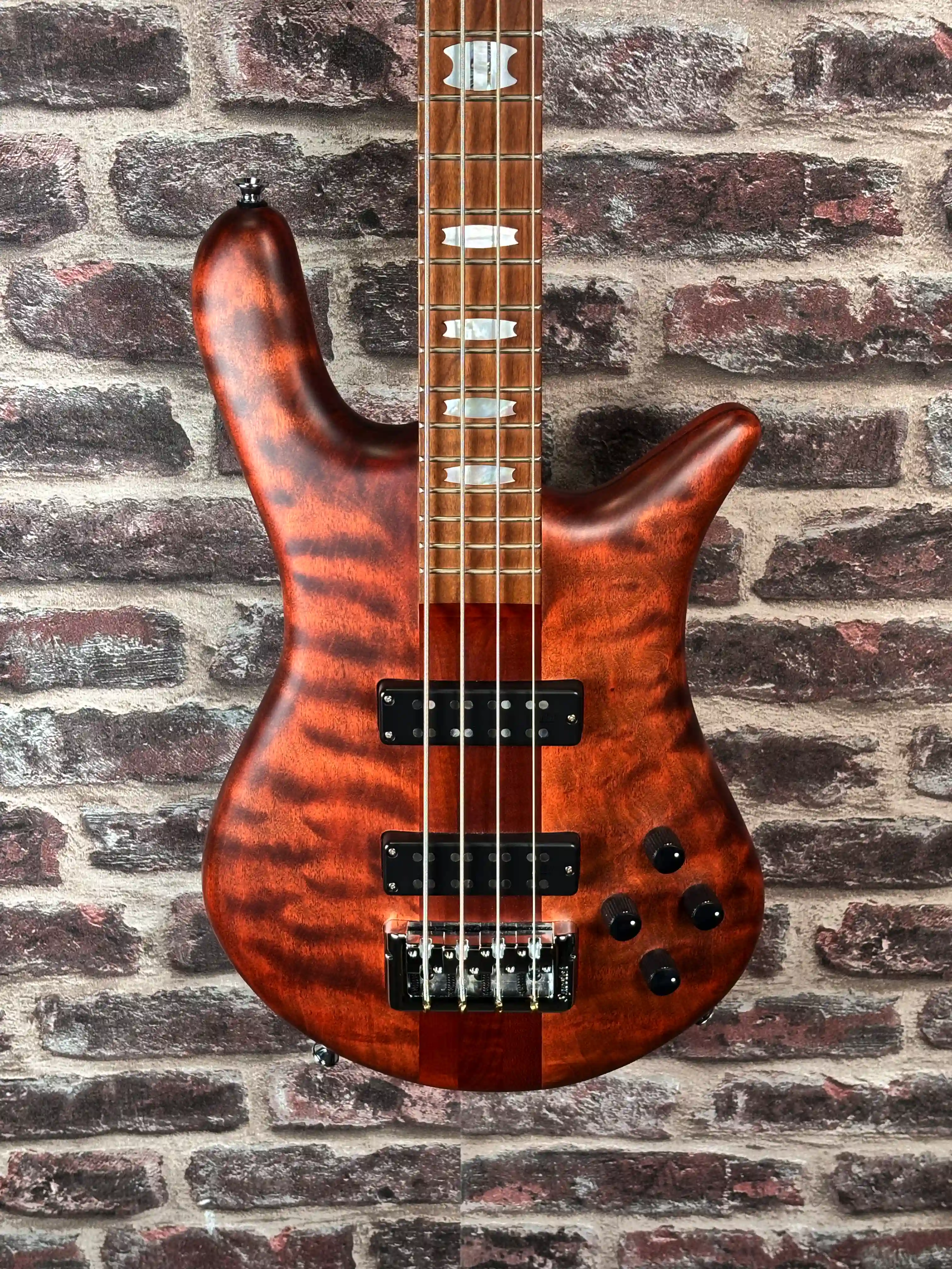 Spector Euro 4 RST Sienna Stain OCCASION