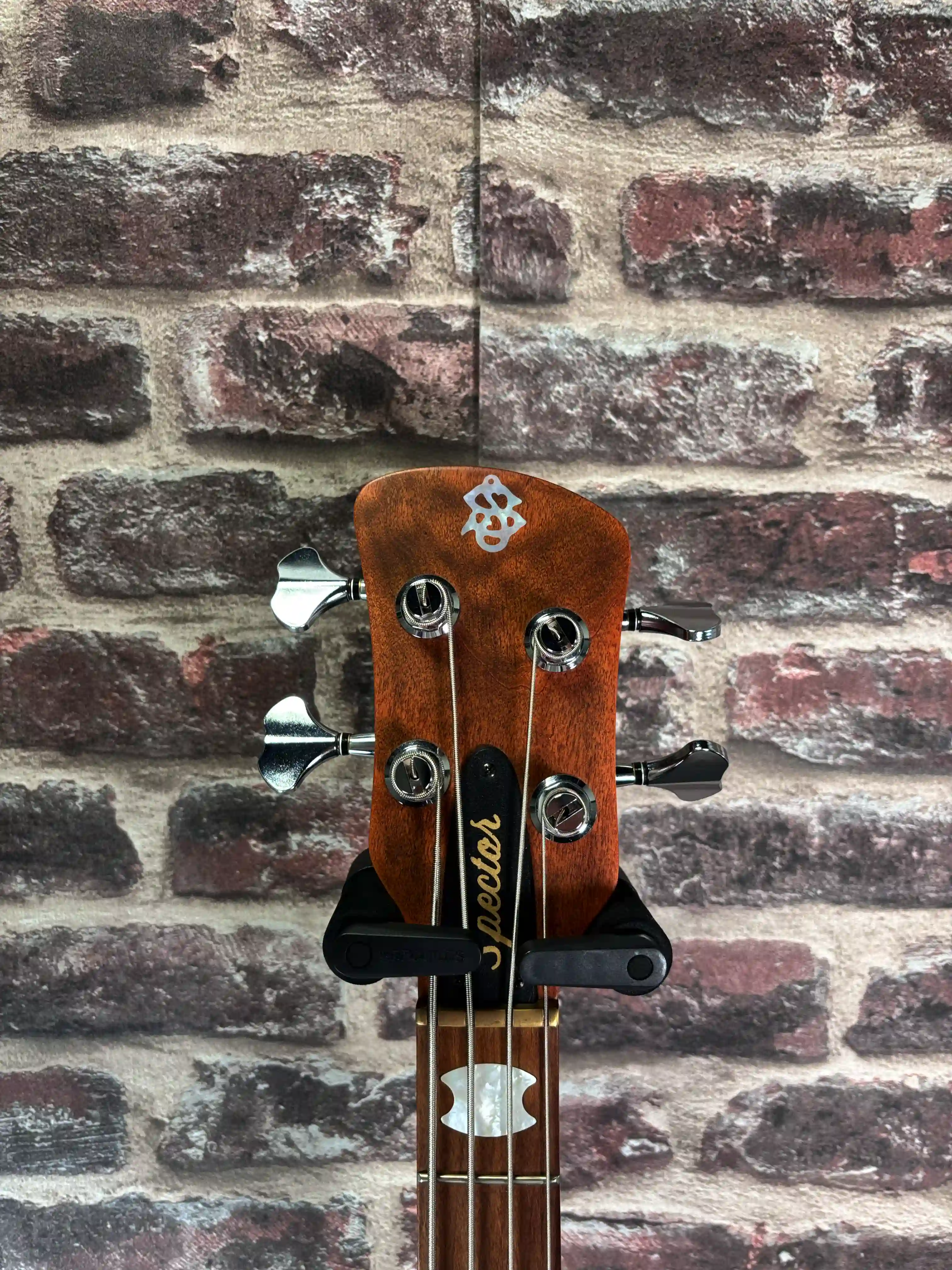 Spector Euro 4 RST Sienna Stain OCCASION