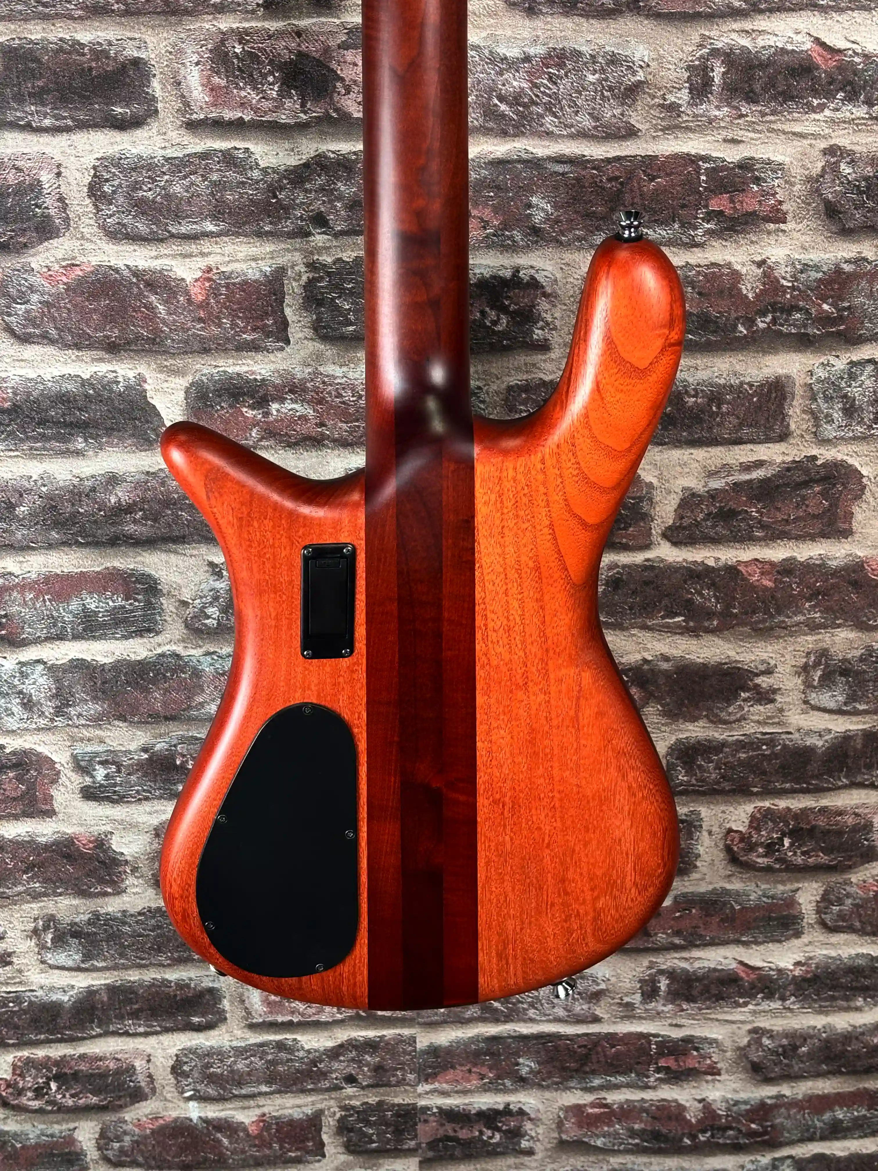 Spector Euro 4 RST Sienna Stain OCCASION