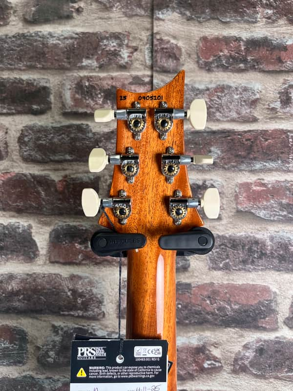 PRS McCarty 594 Aurora Borealis