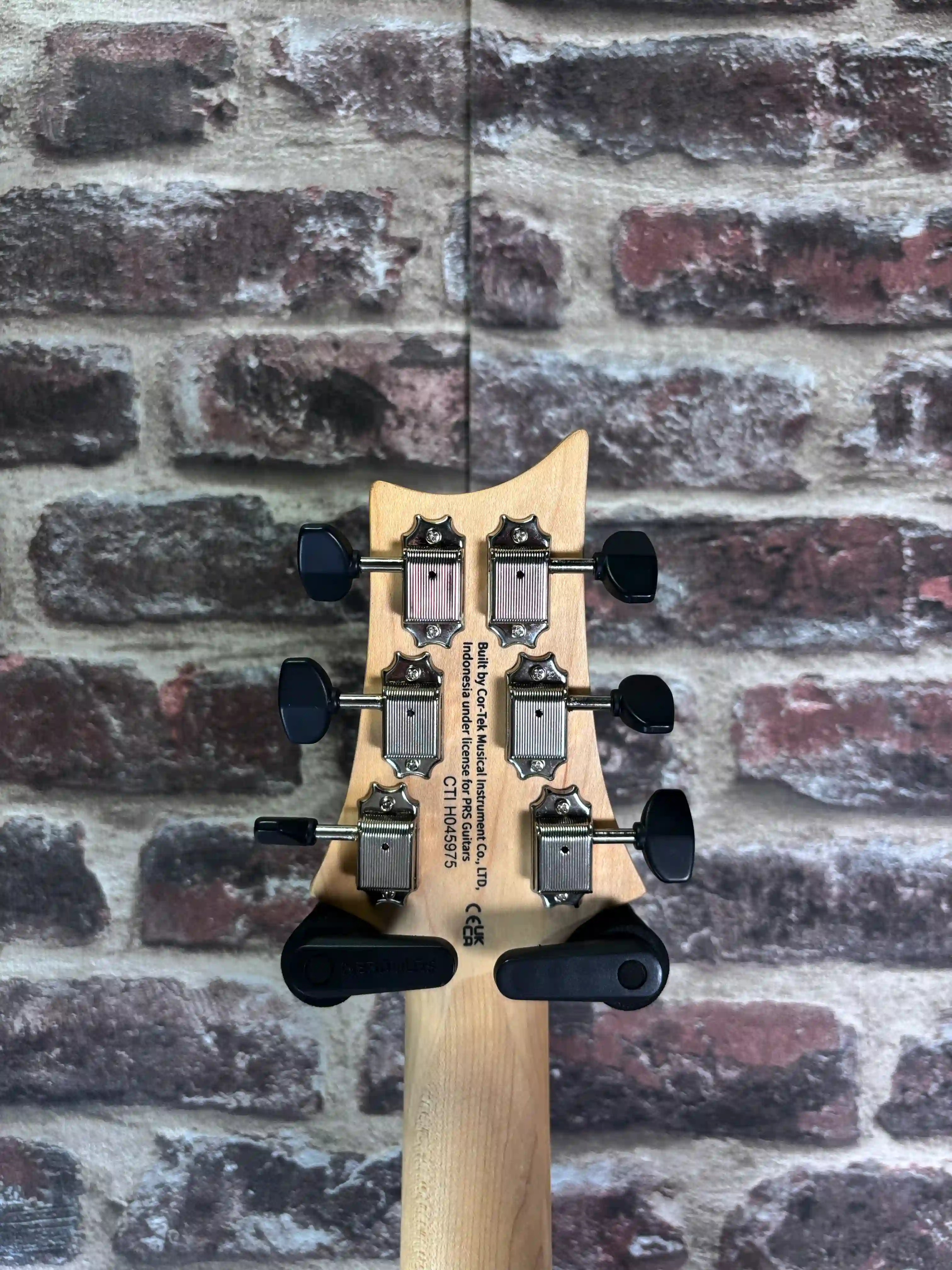 PRS SE NF 53 White Doghair OCCASION