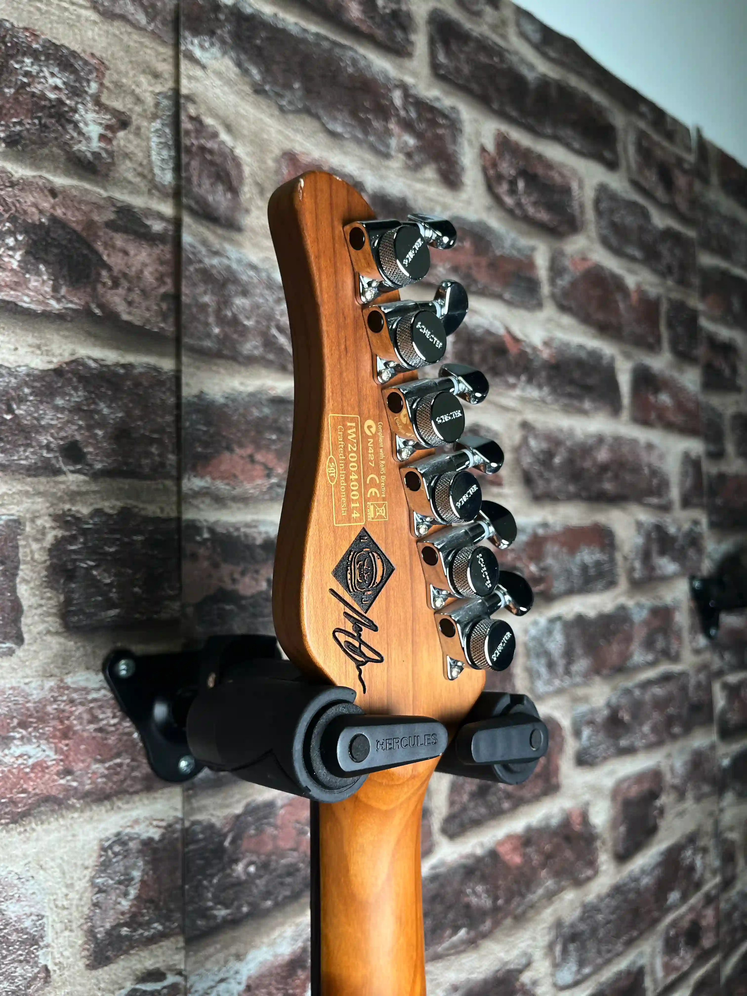 Schecter Signature Nick Johnston OCCASION