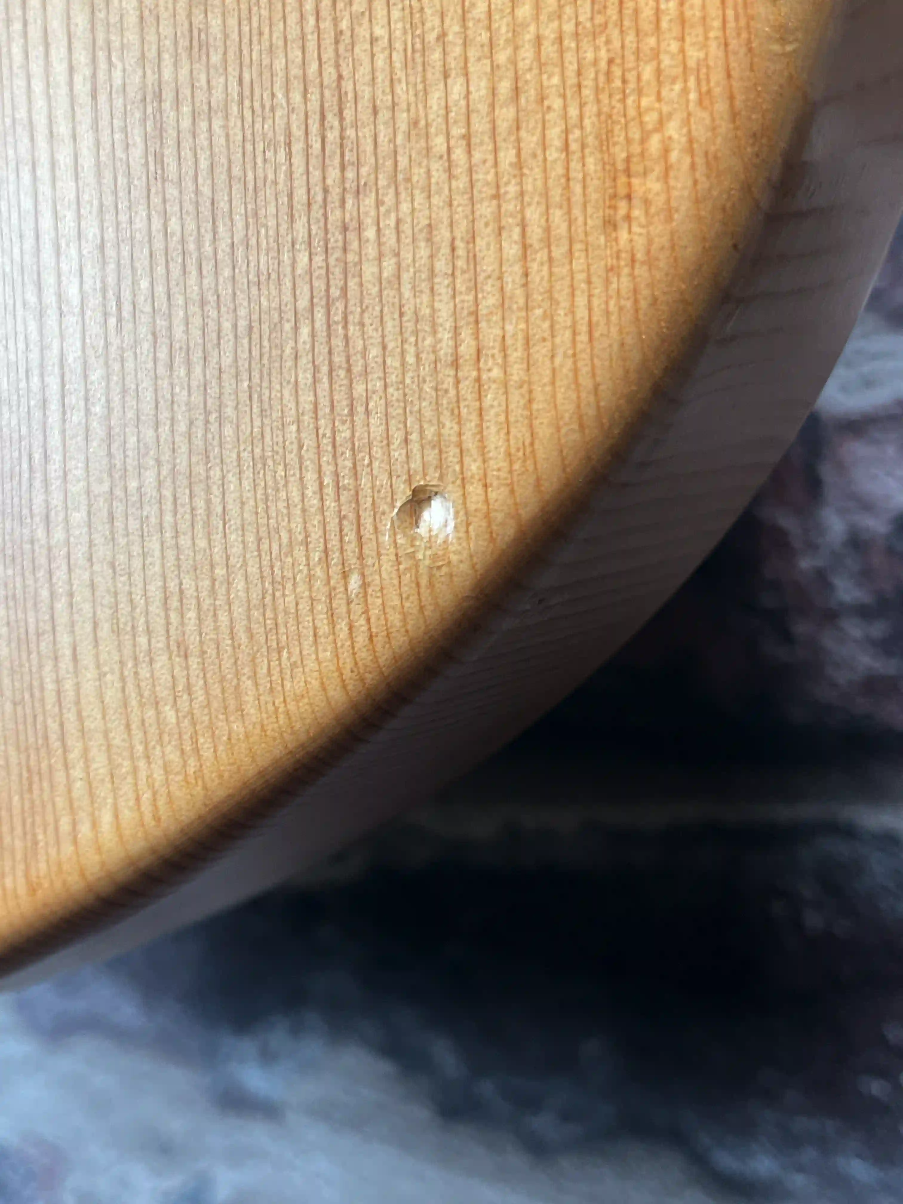 Warwick Streamer V OCCASION