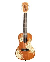 Ukulélé concert Hibiscus Acajou avec housse