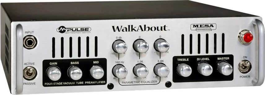 Mesa Boogie Walkabout OCCASION