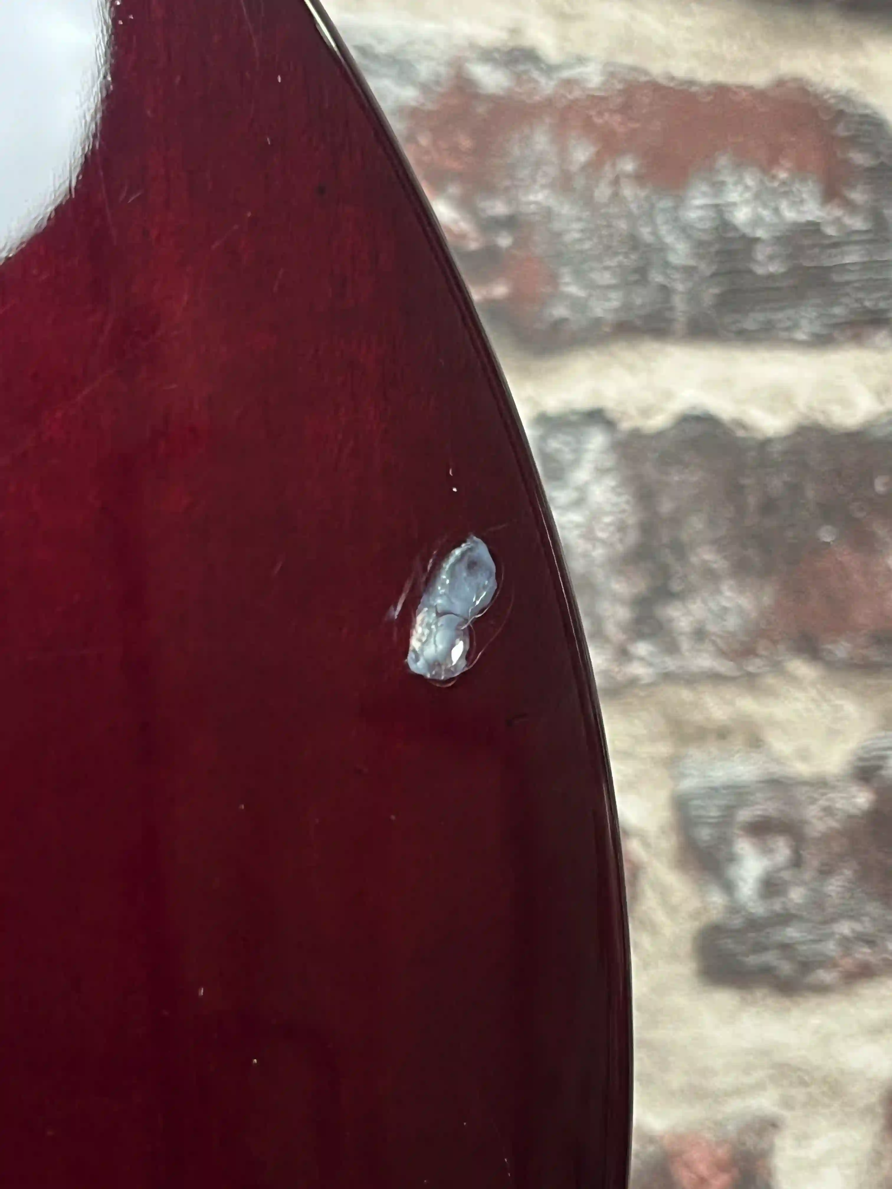 Tokai LS 85 F OCCASION