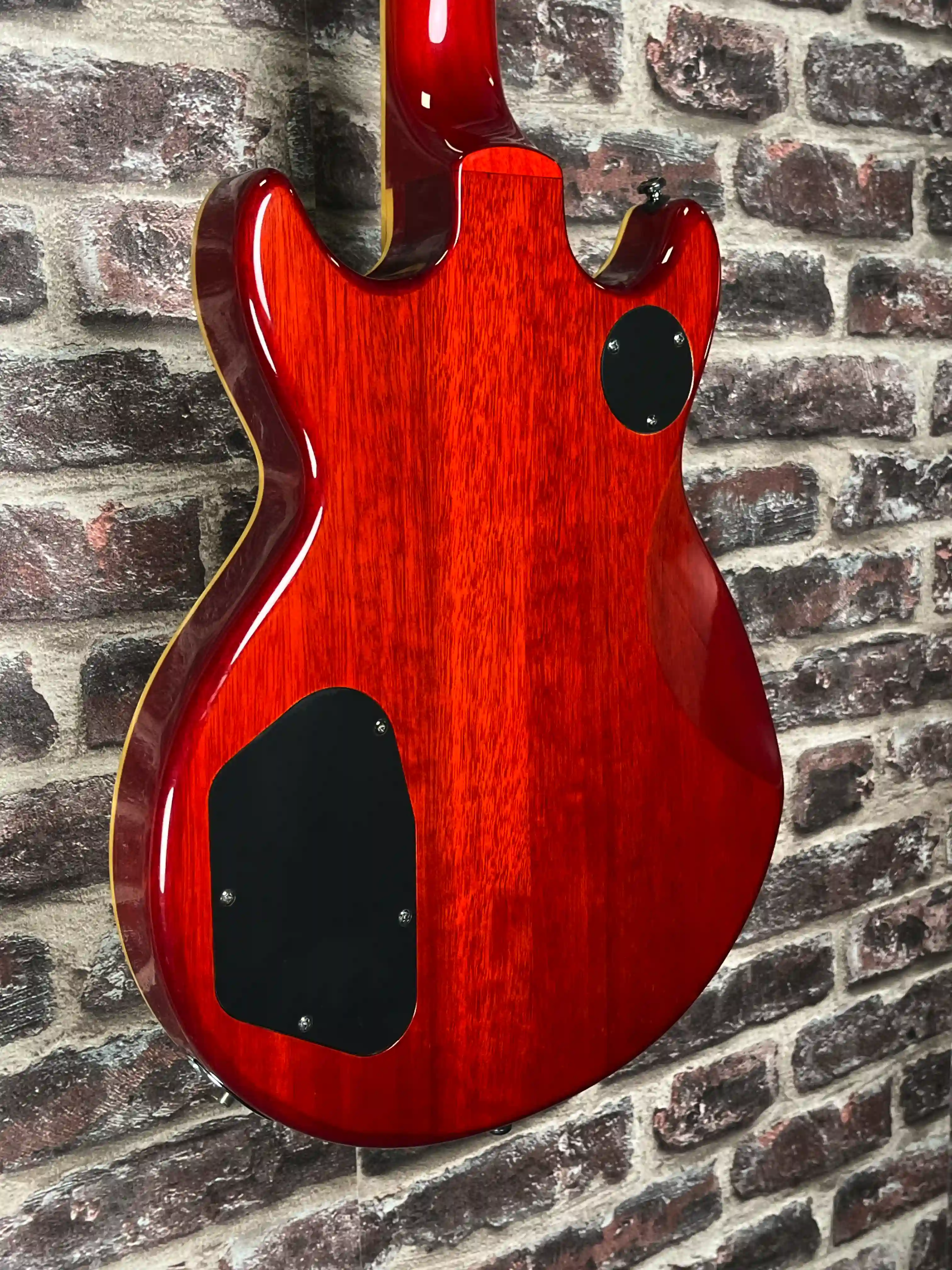 Ibanez AR250 OCCASION