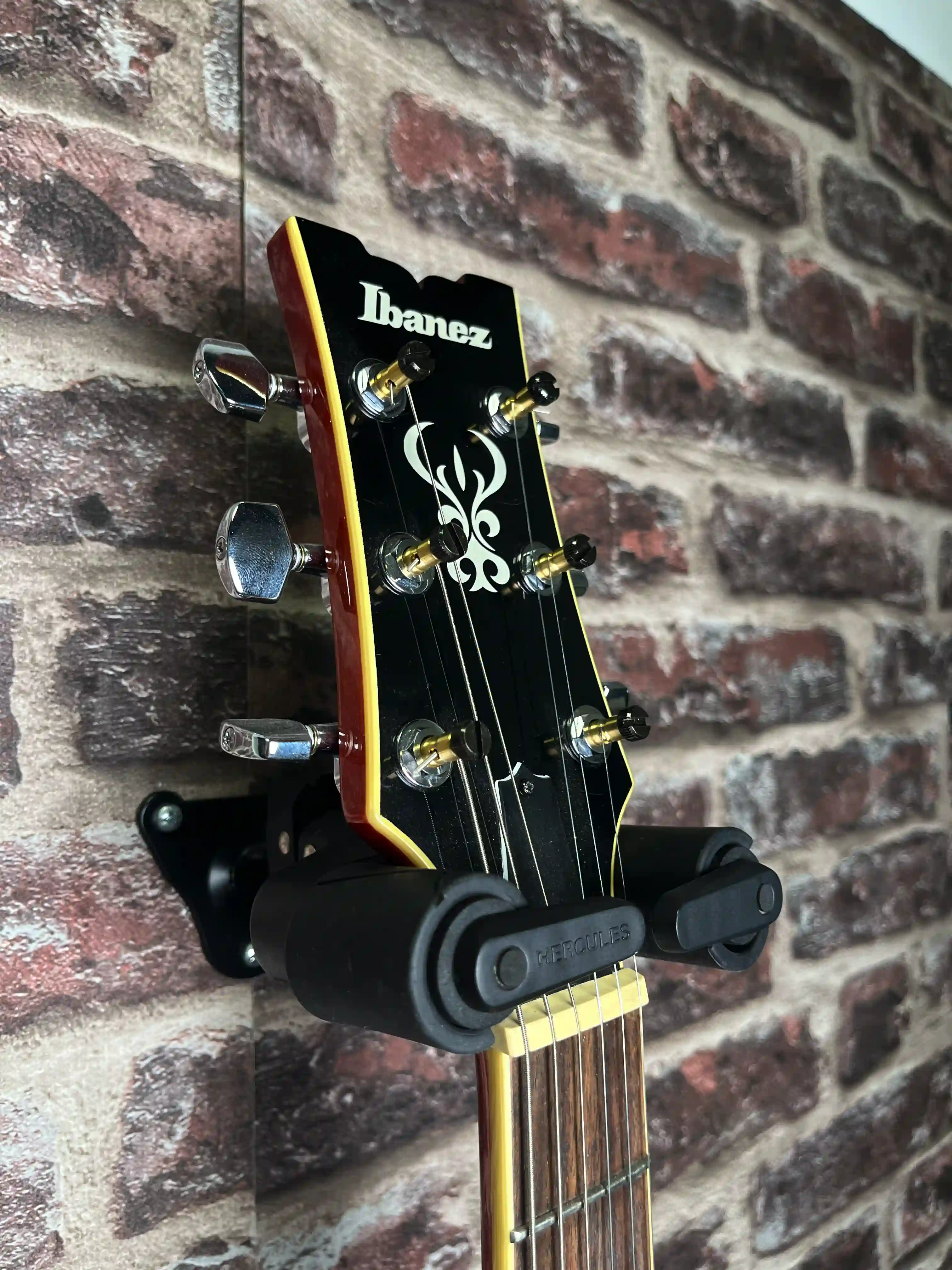 Ibanez AR250 OCCASION