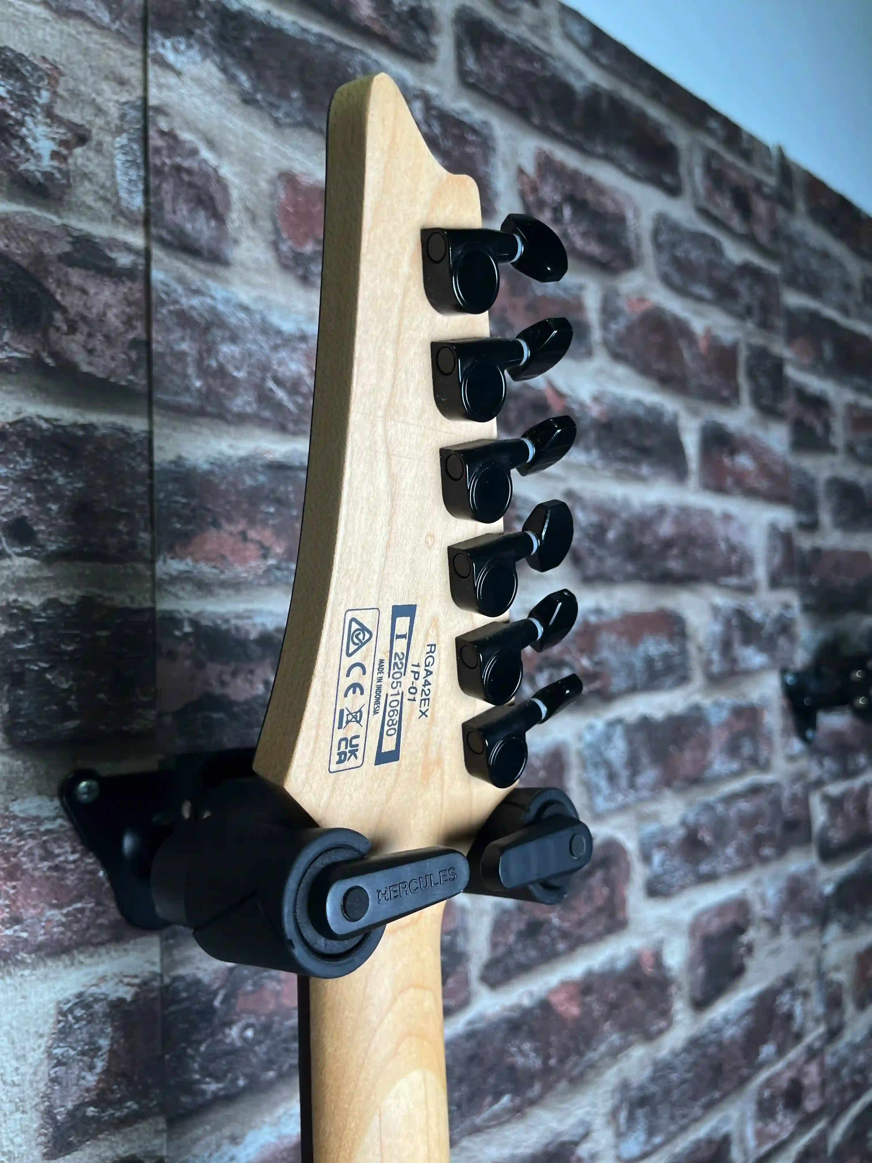 Ibanez RGA42EX-BAM OCCASION