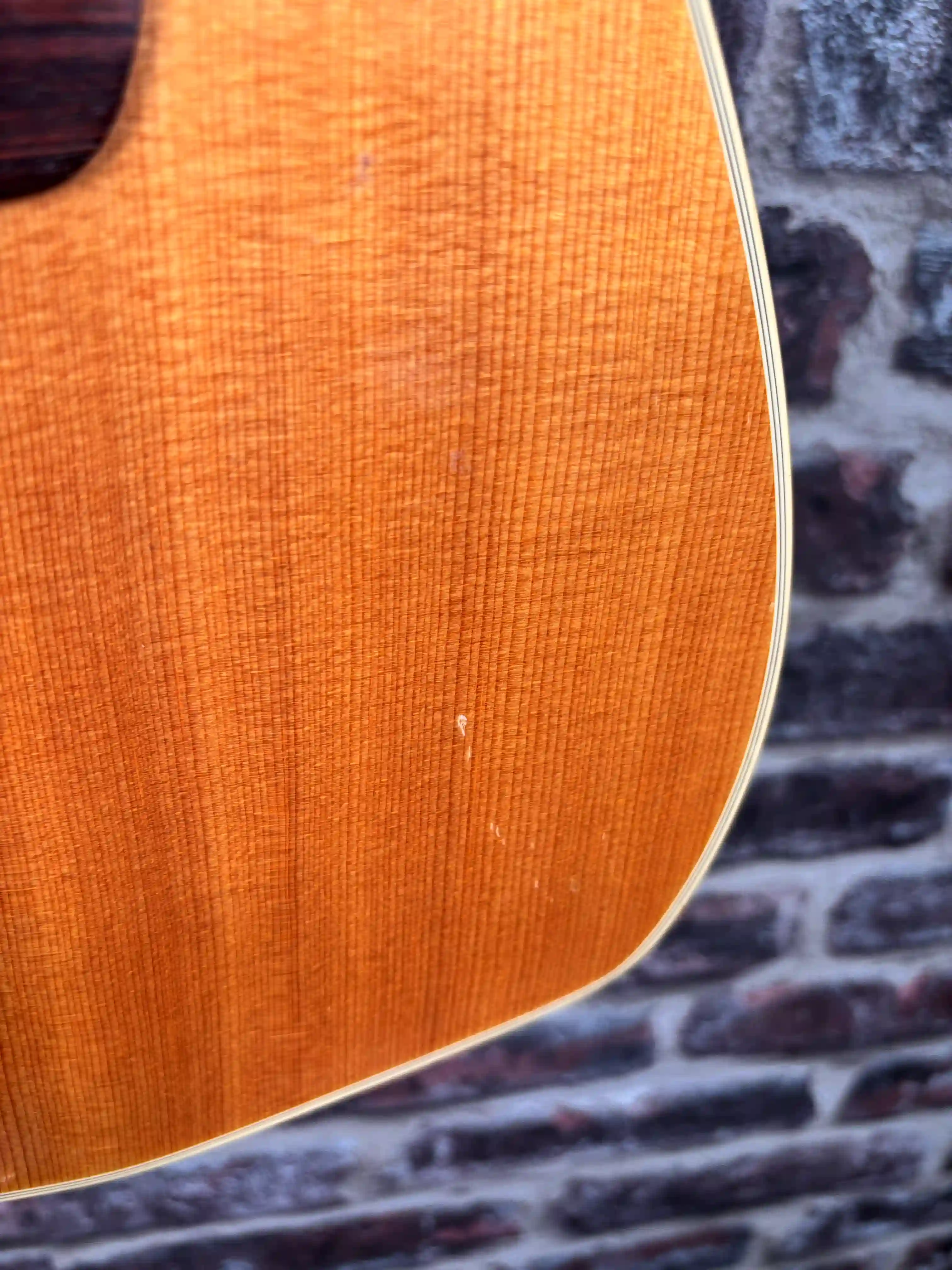 Godin Multiac Steel Duet OCCASION