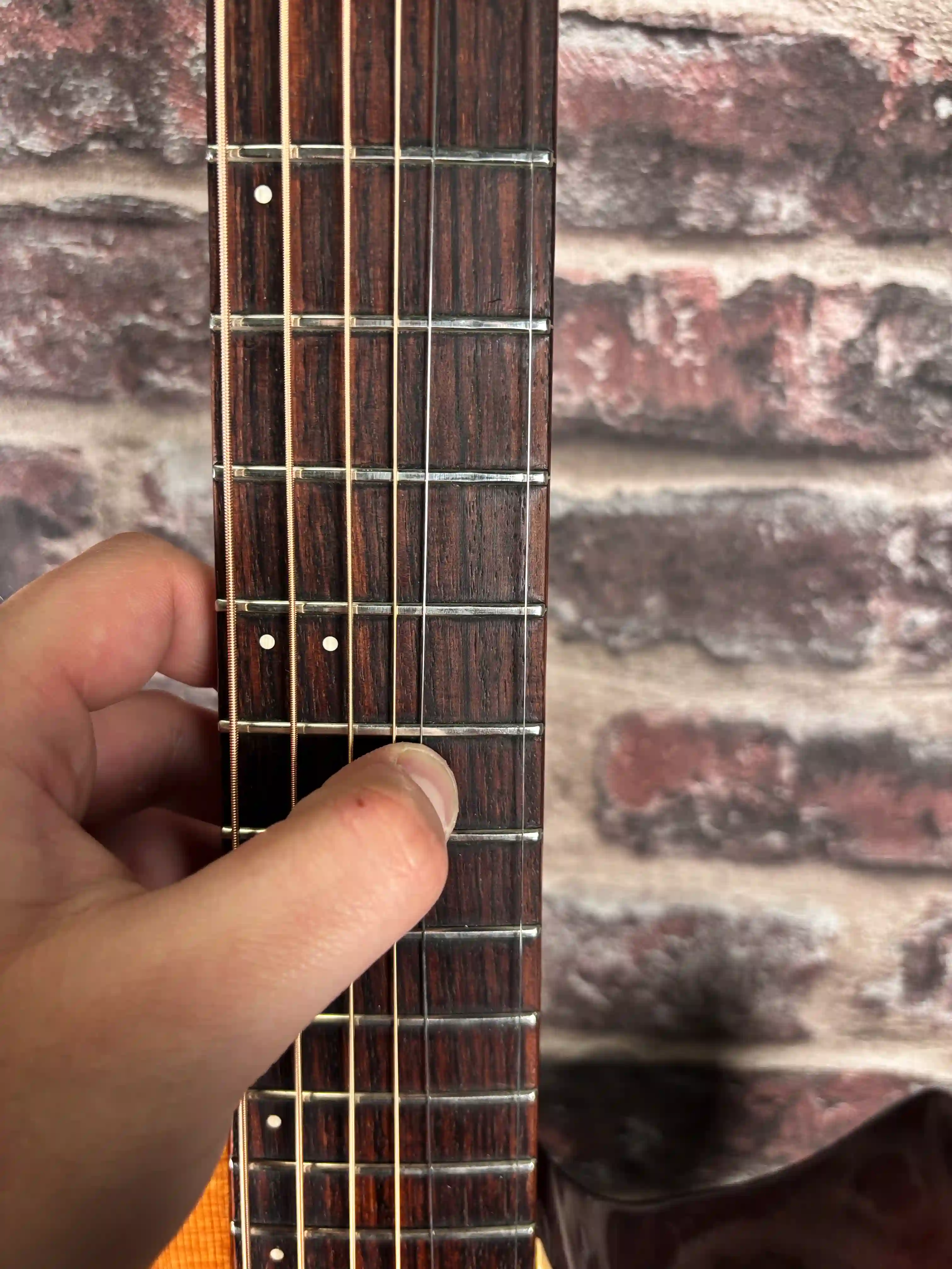 Godin Multiac Steel Duet OCCASION