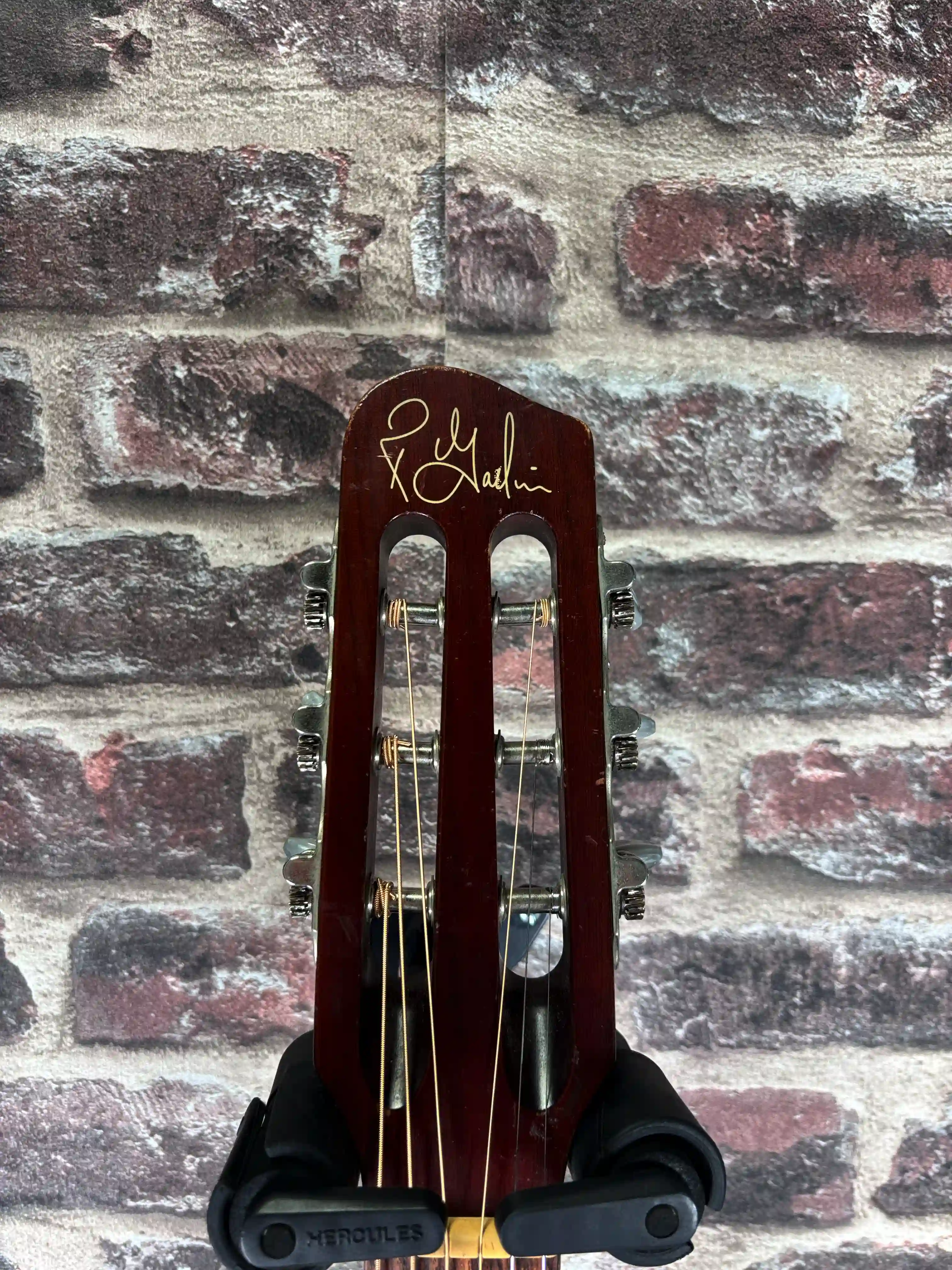 Godin Multiac Steel Duet OCCASION