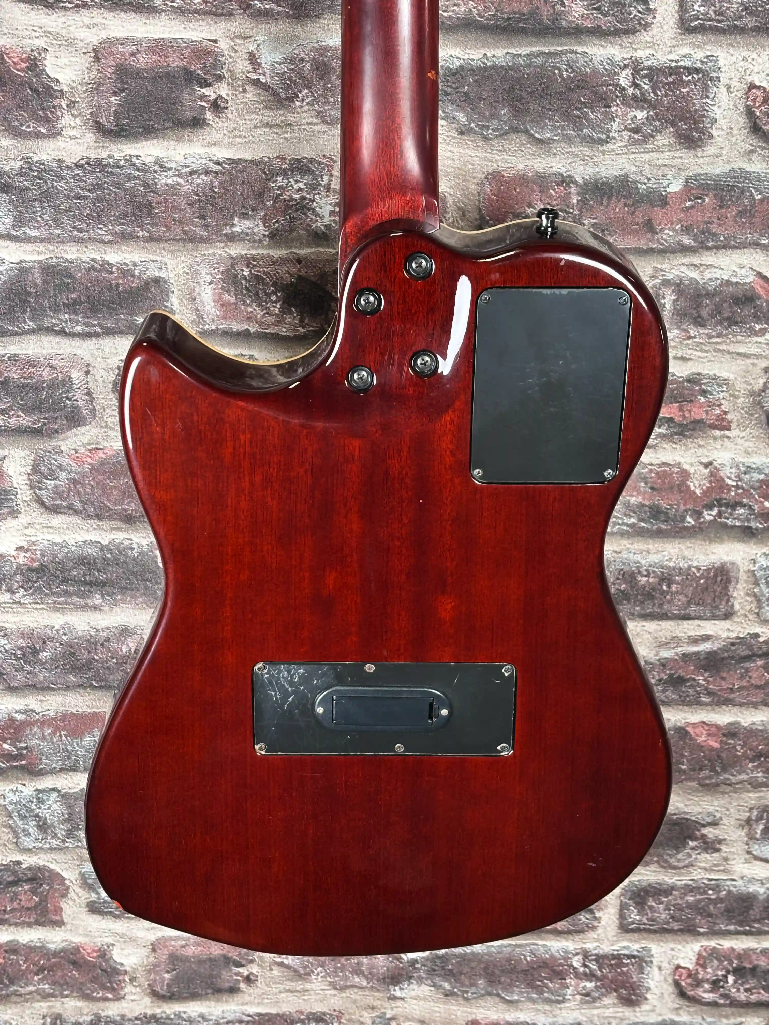 Godin Multiac Steel Duet OCCASION