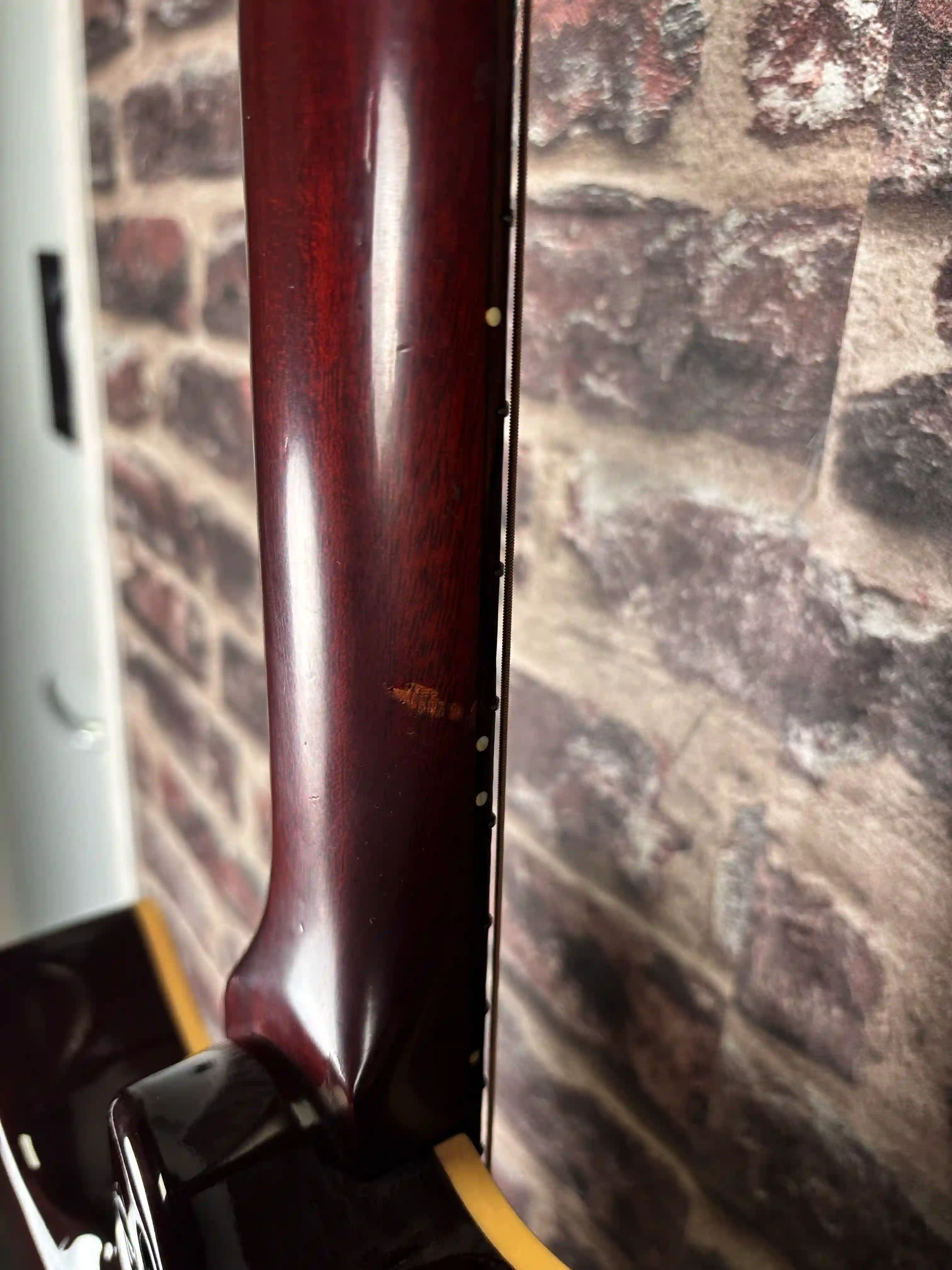 Godin Multiac Steel Duet OCCASION