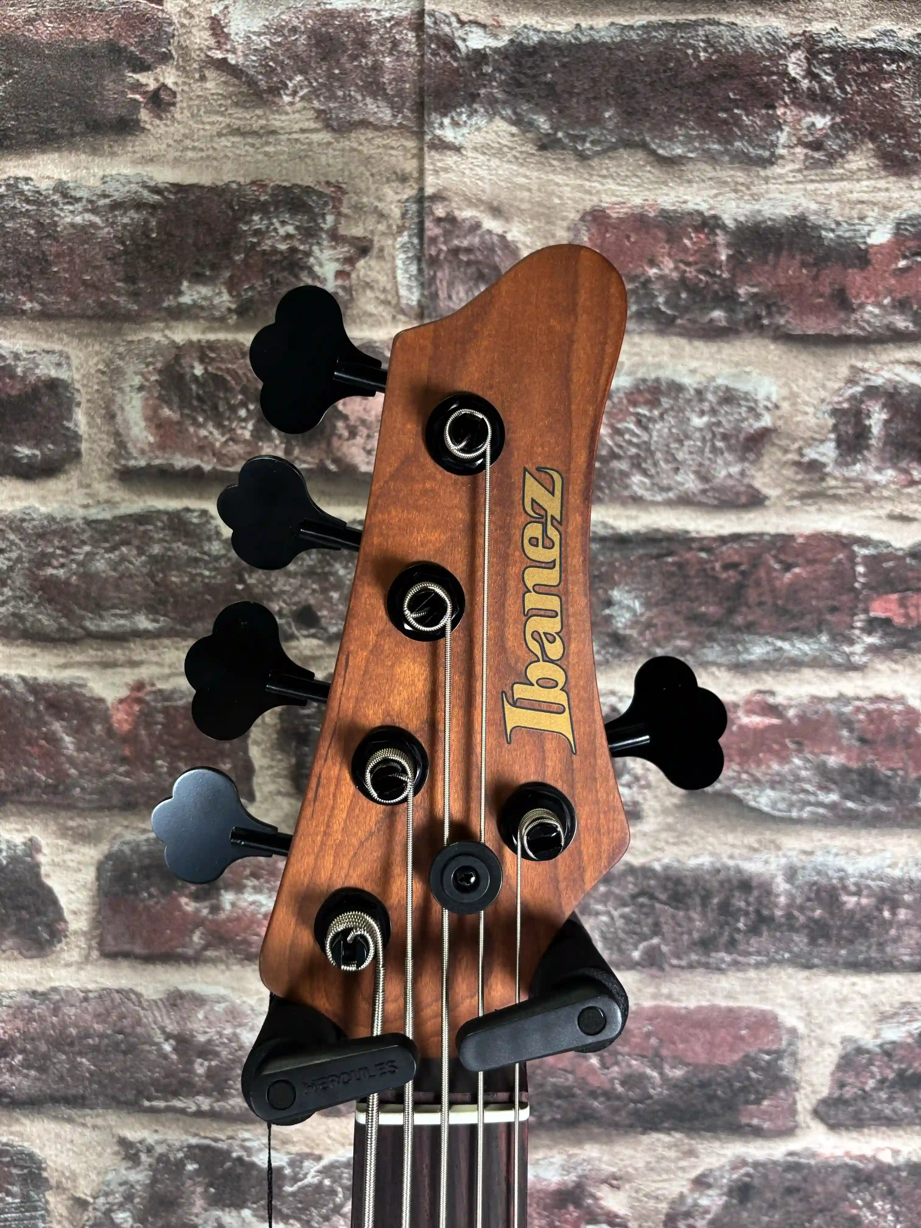 Ibanez Mode MDM1605 (Deep Twilight)