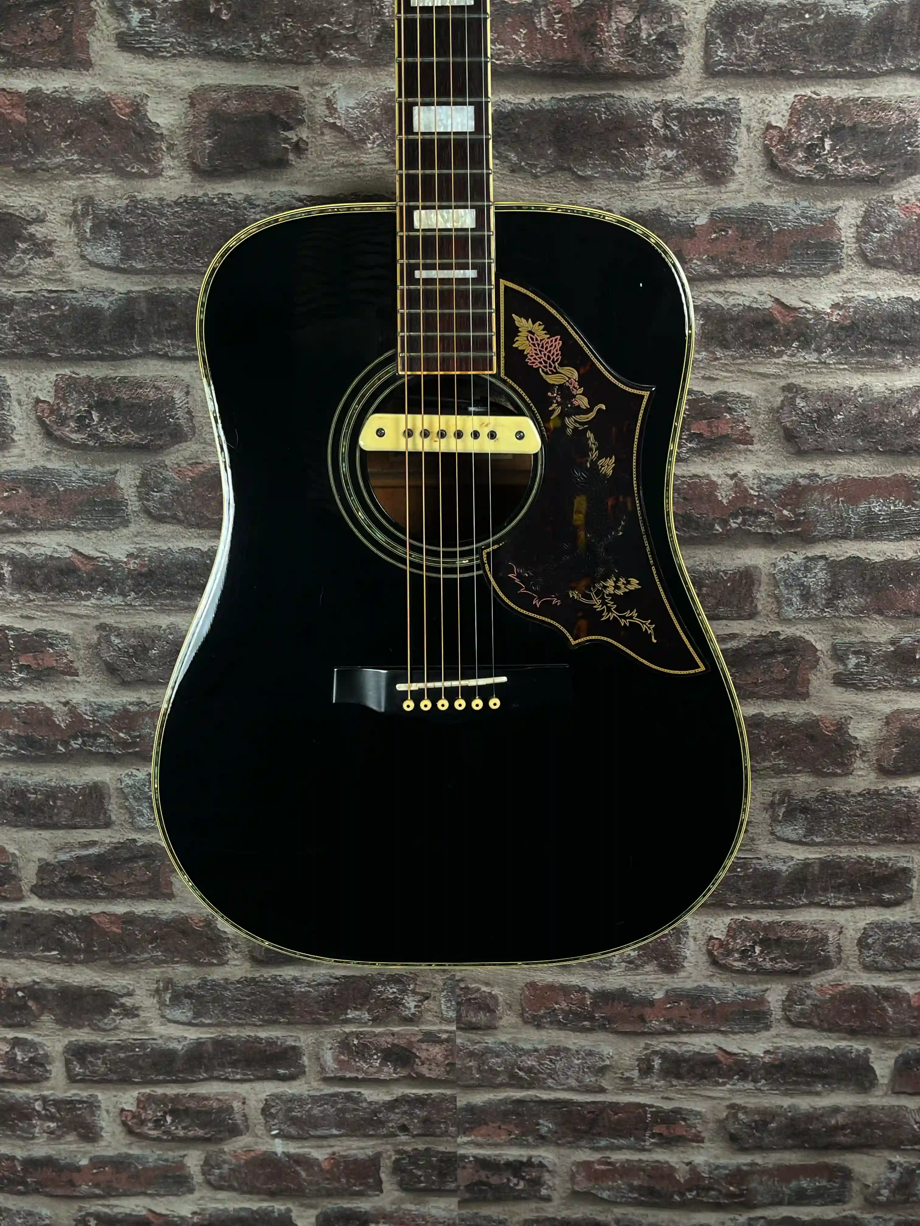 Ibanez F310 BK + LR BAGGS OCCASION