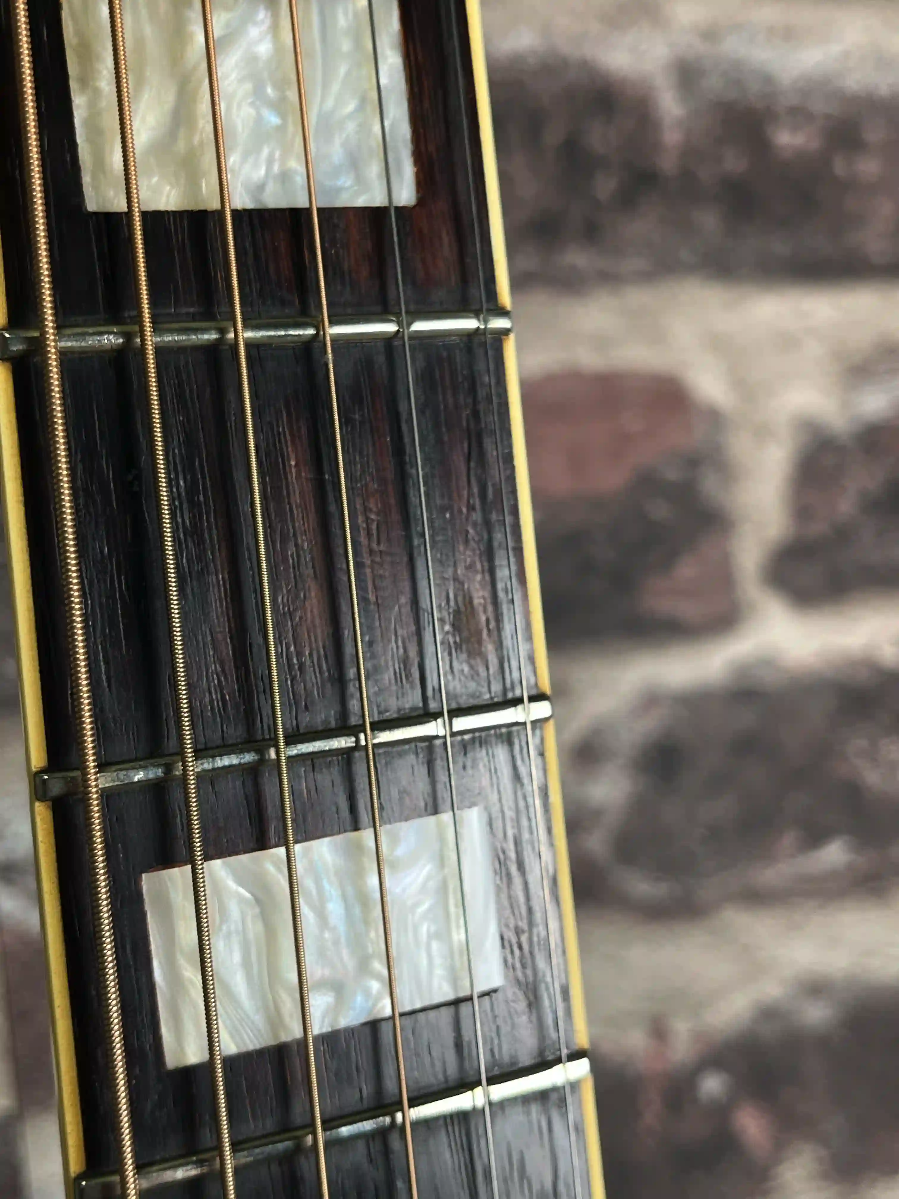 Ibanez F310 BK + LR BAGGS OCCASION