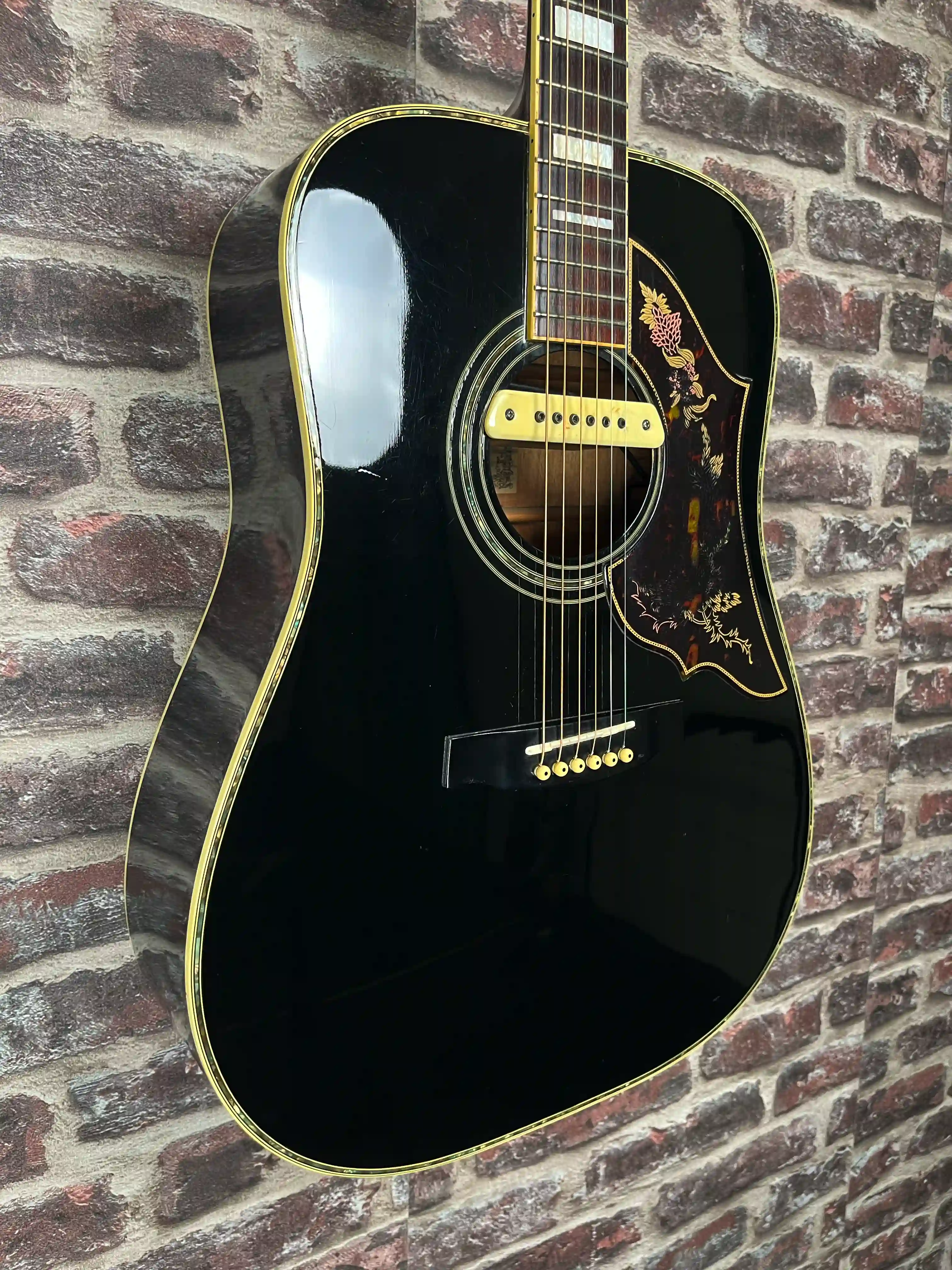 Ibanez F310 BK + LR BAGGS OCCASION