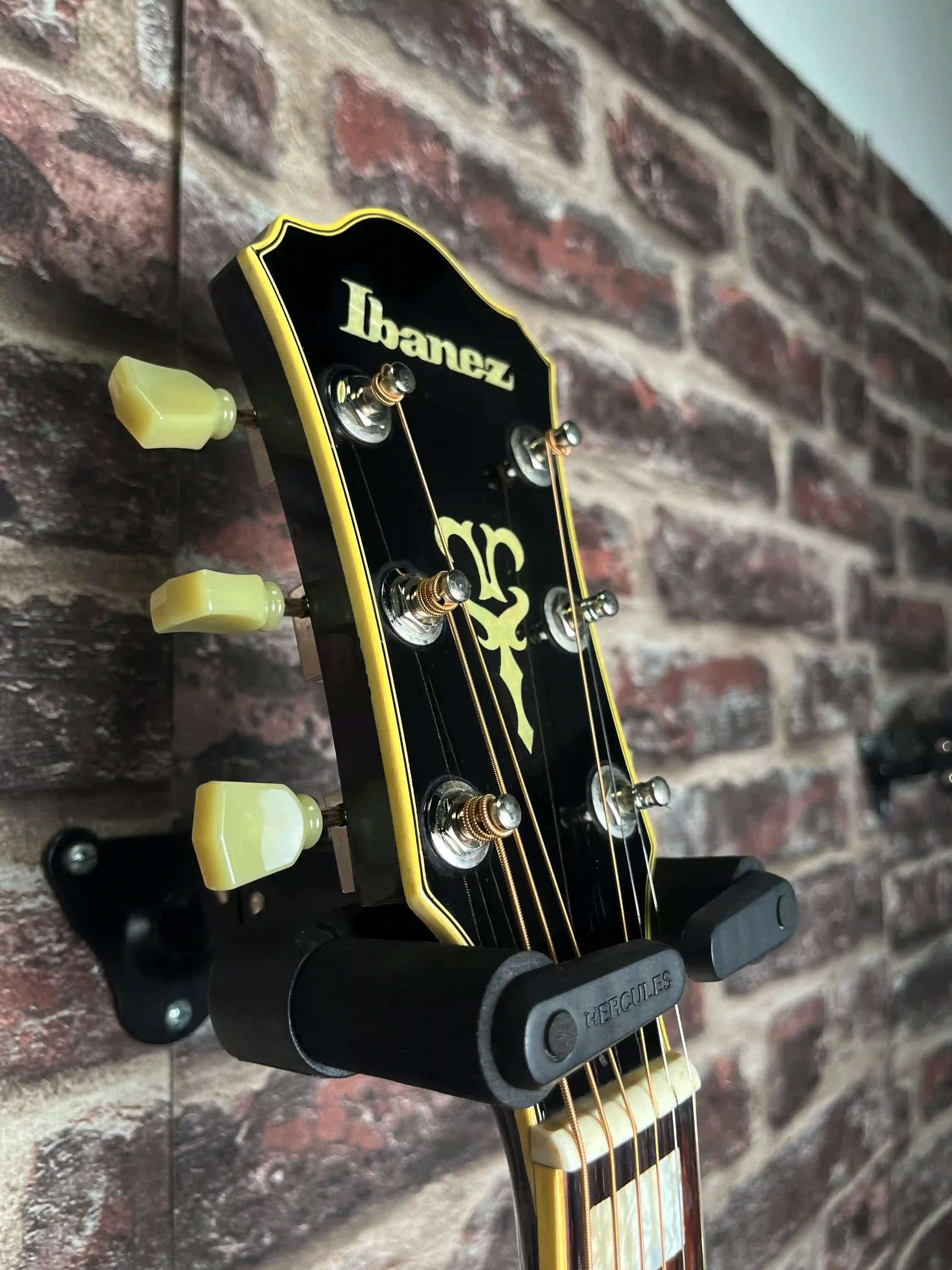 Ibanez F310 BK + LR BAGGS OCCASION