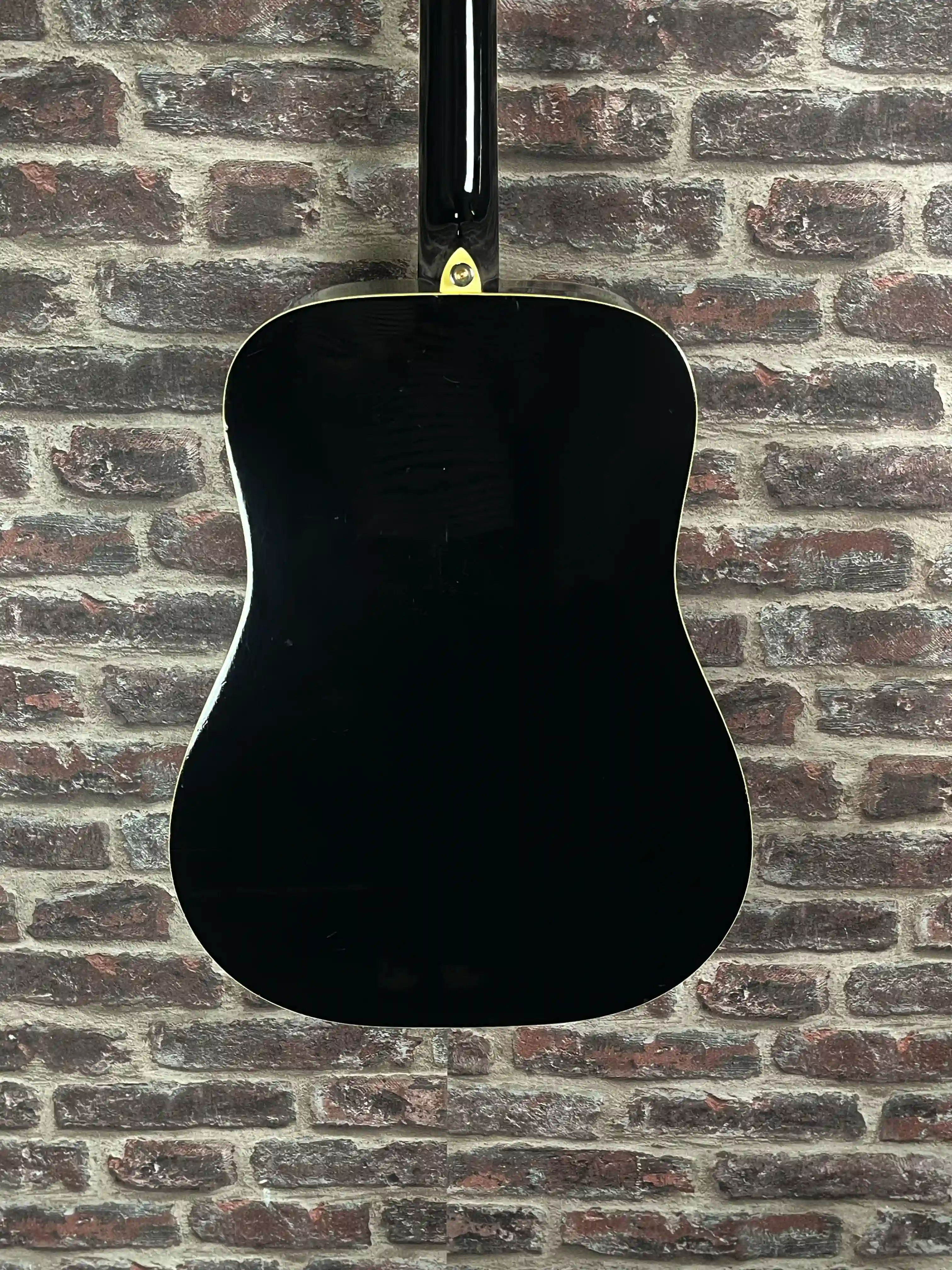 Ibanez F310 BK + LR BAGGS OCCASION