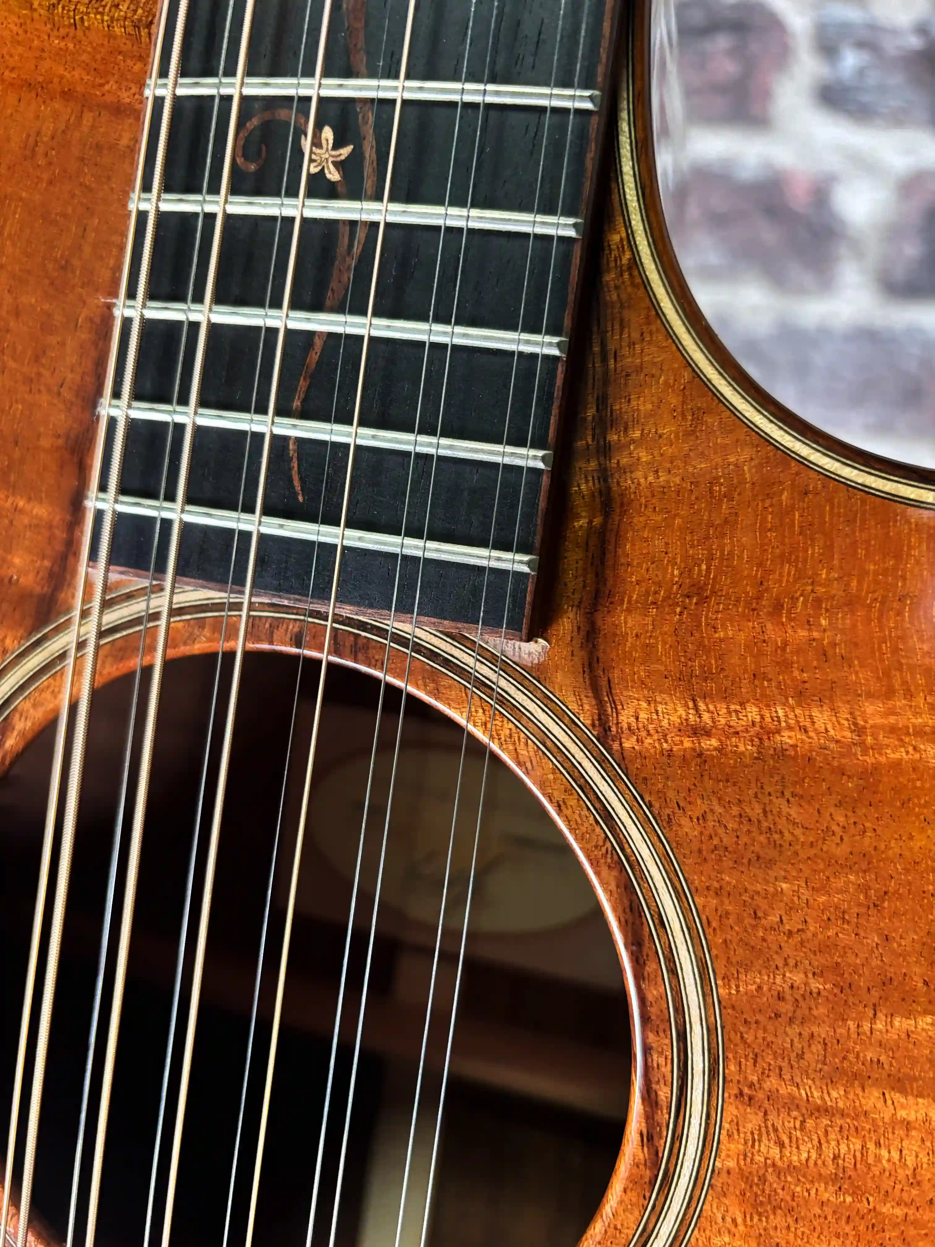 Taylor K66ce OCCASION