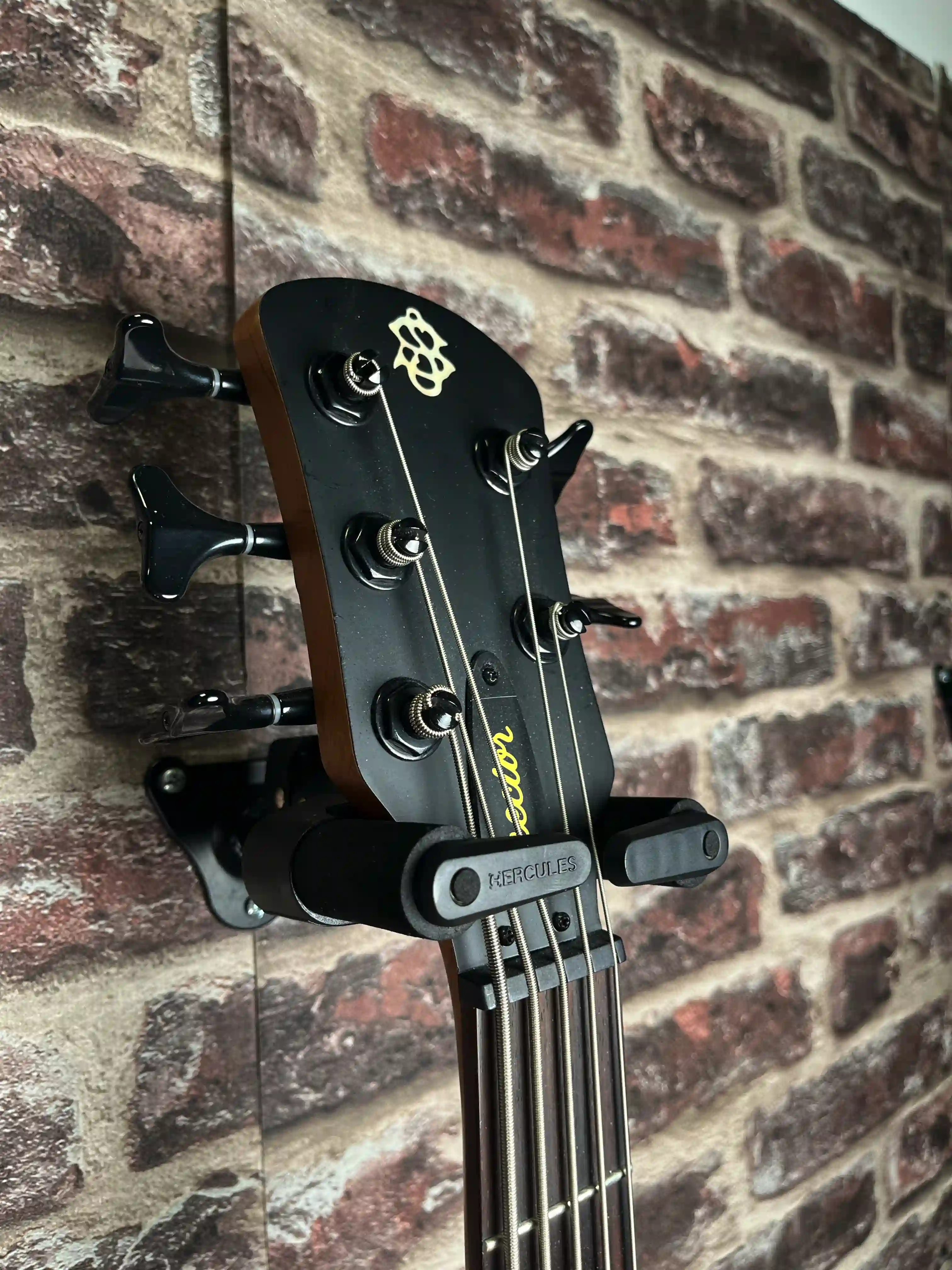 Spector NS Pulse II 5 OCCASION