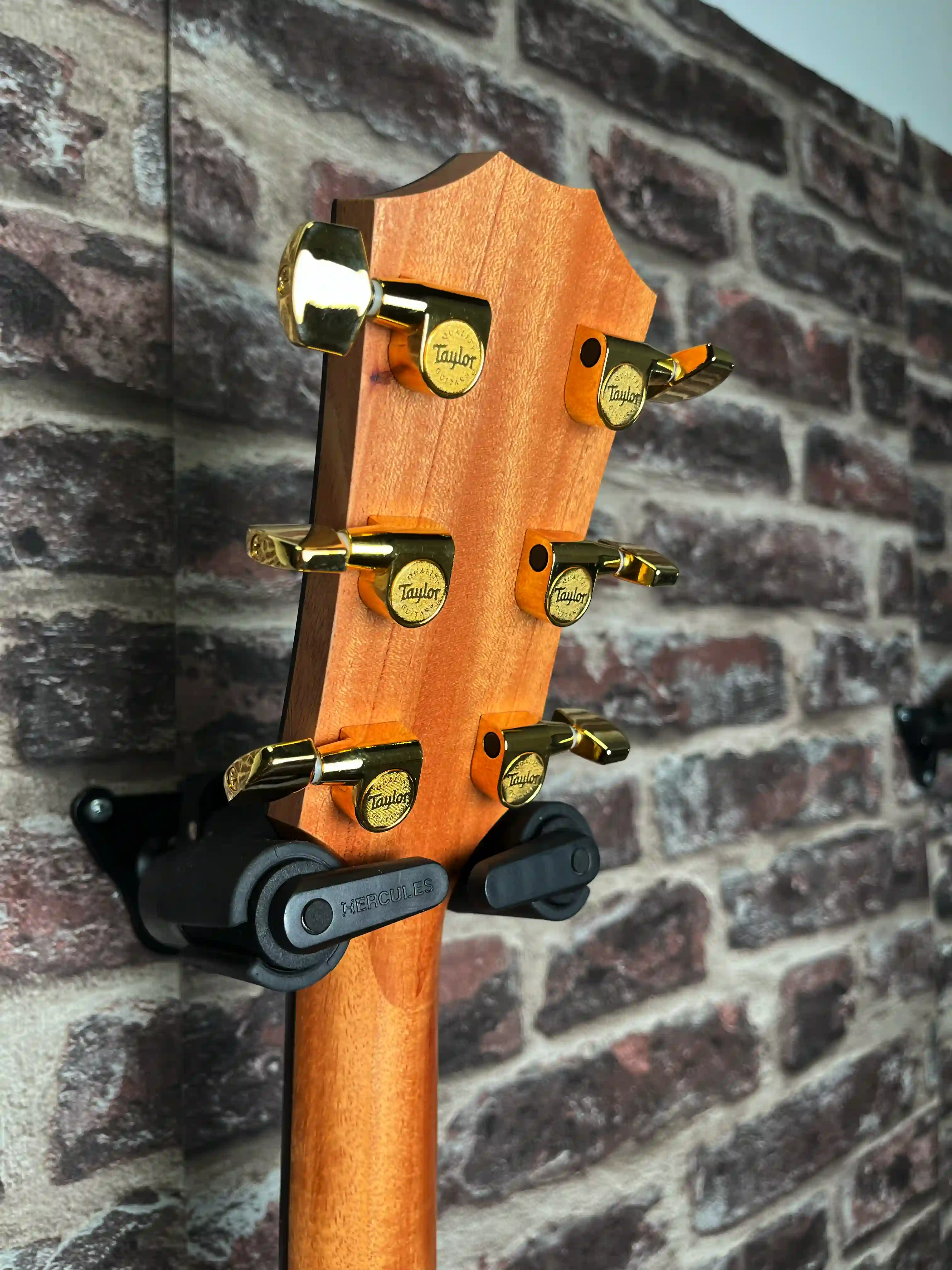 Taylor 224ce‑K DLX