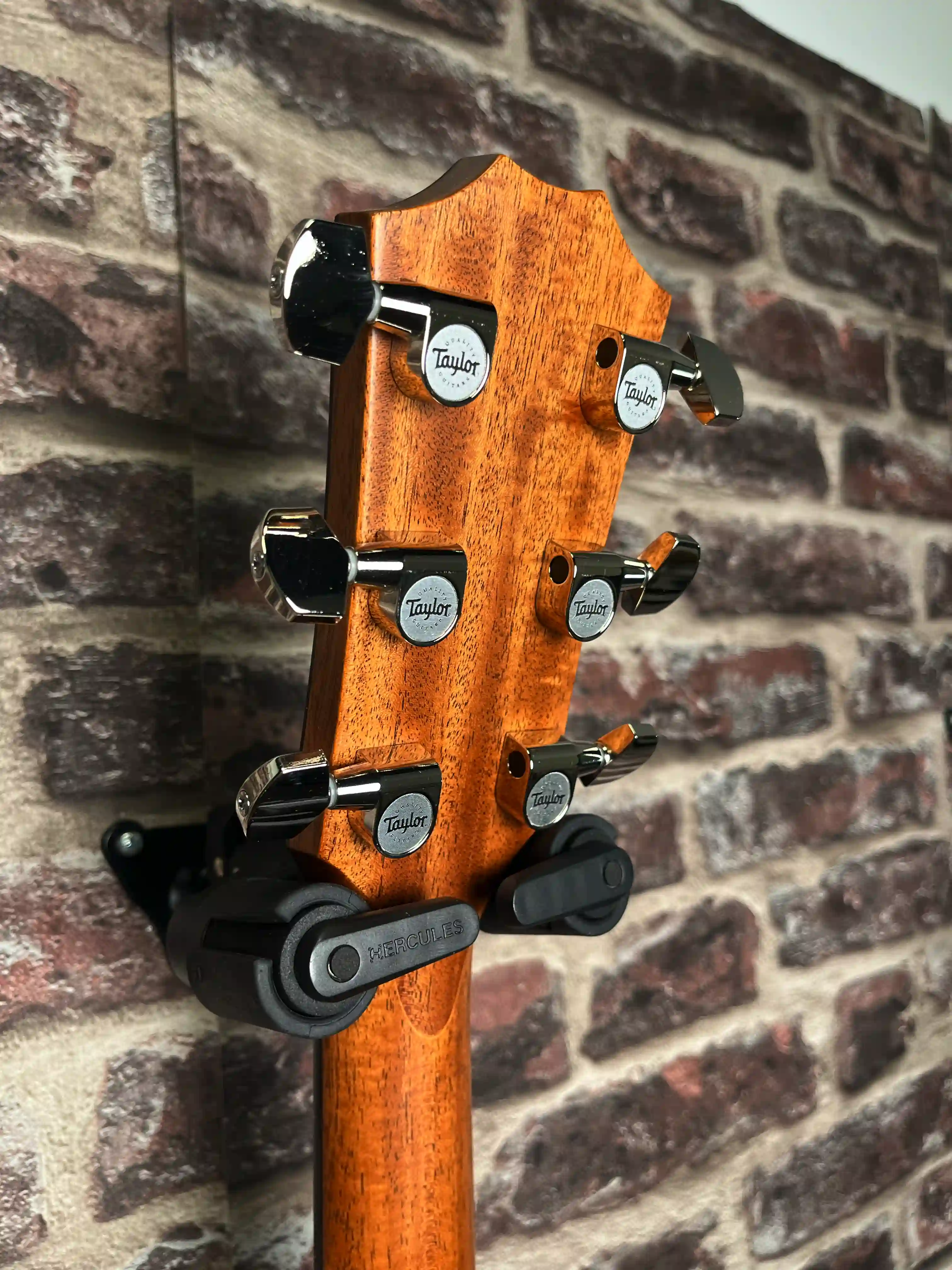 Taylor 414ce Studio Shaded Edge Burst