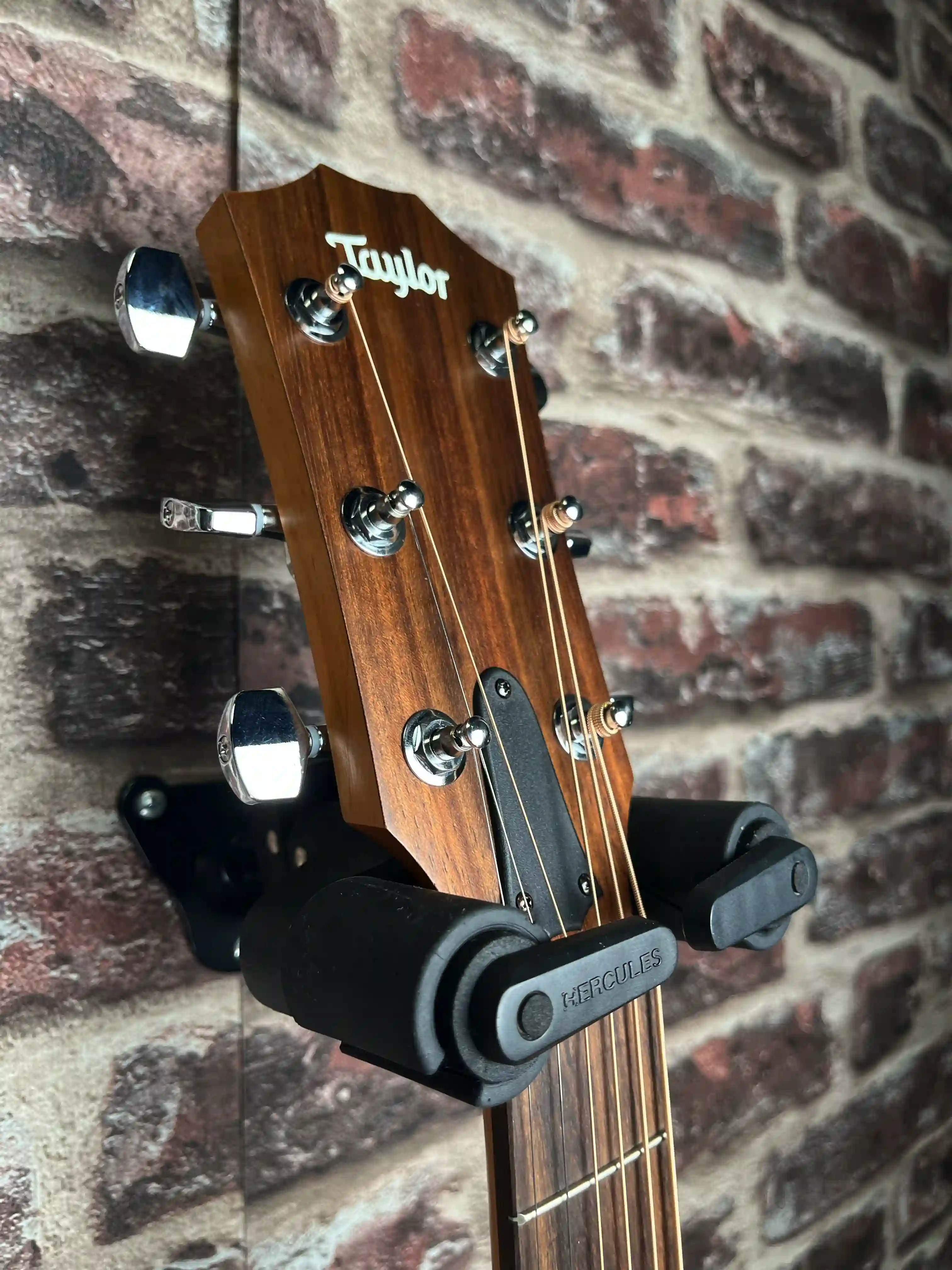 Taylor Academy 12e LH Gaucher